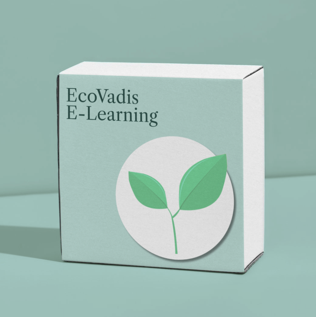 EcoVadis-Training-E-Learning-Videos.png