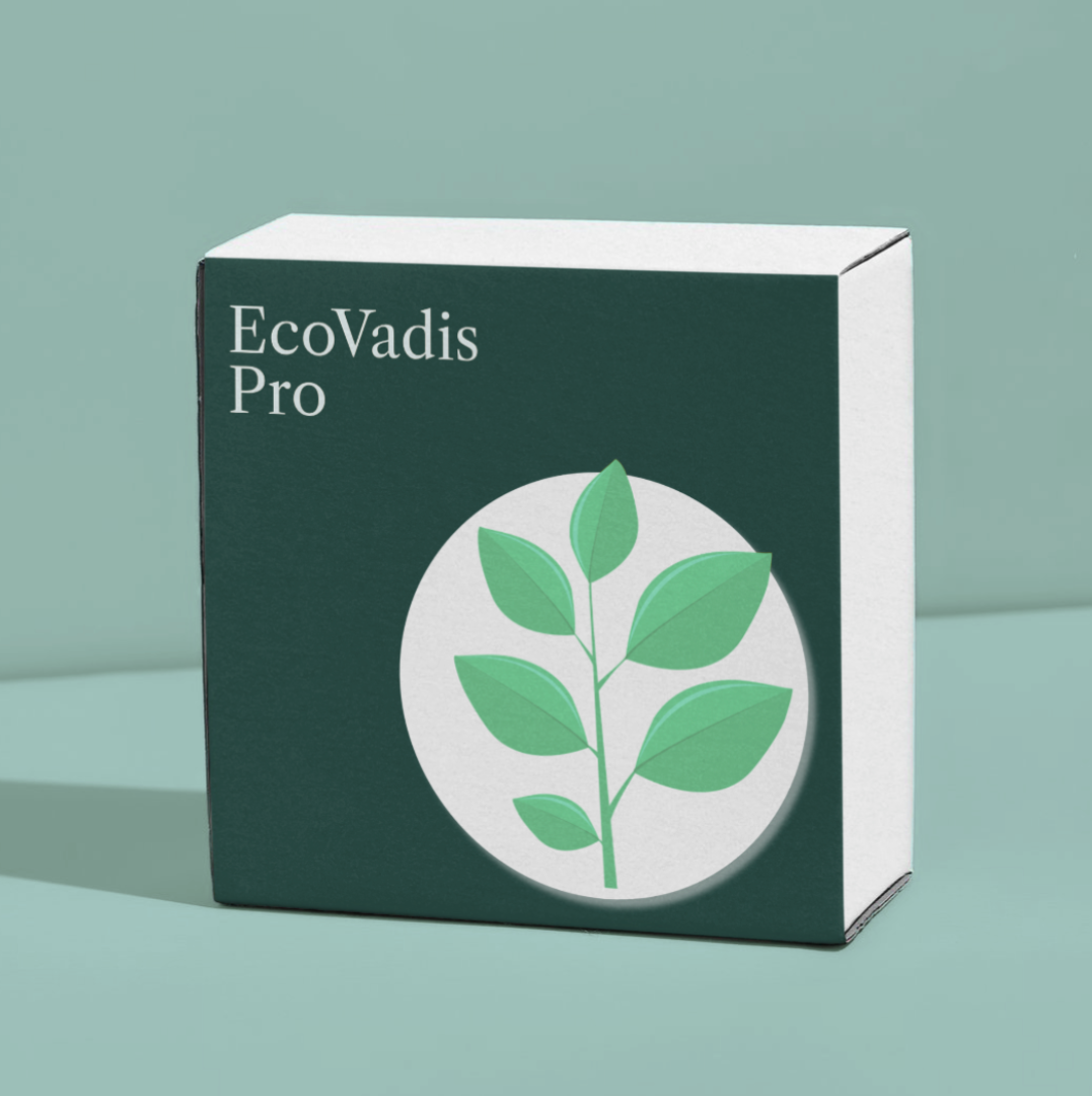 EcoVadis-Training-Assessment.png