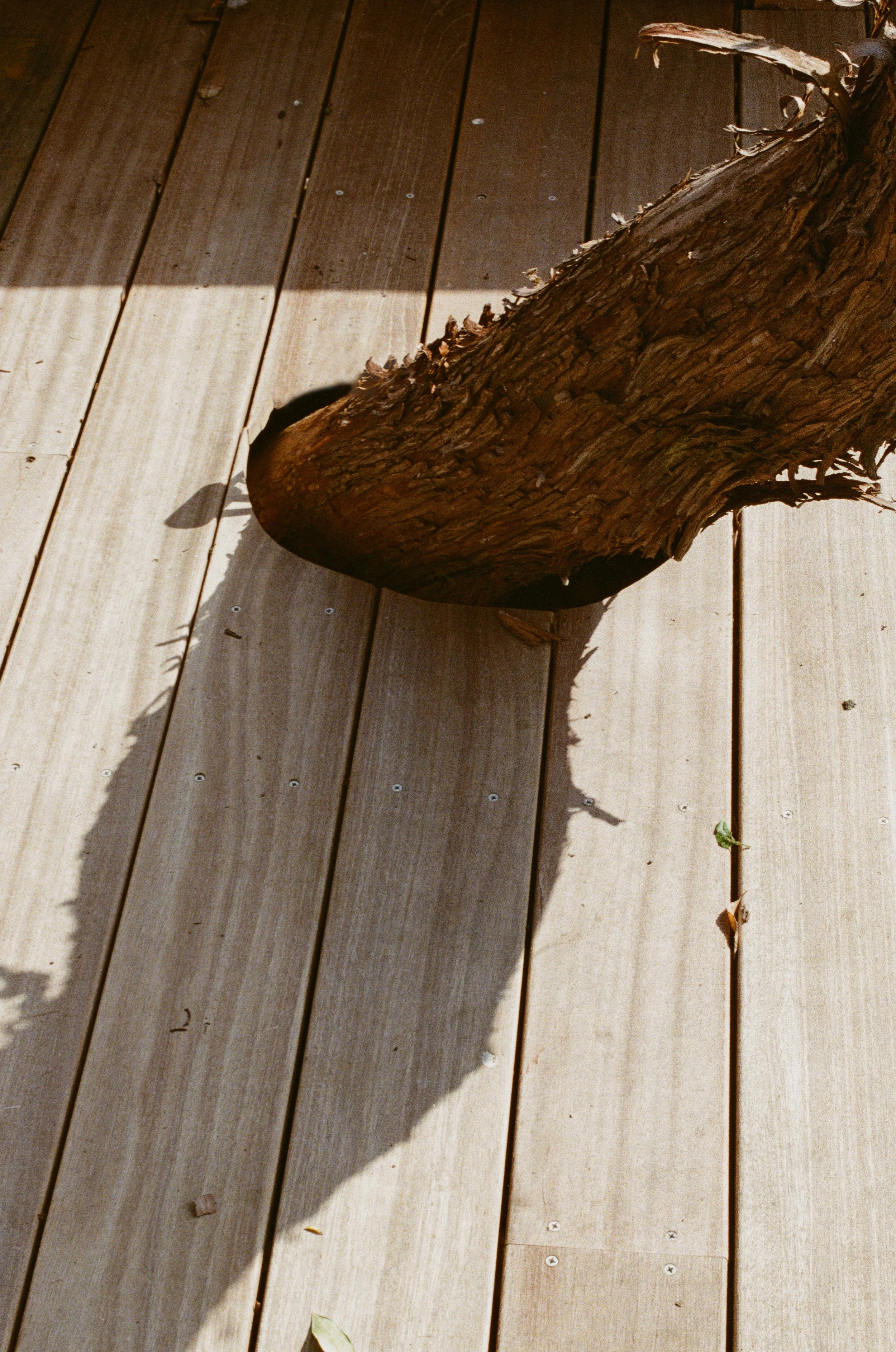 13Tom Austin_35mm ©Kasia Murfet.jpg