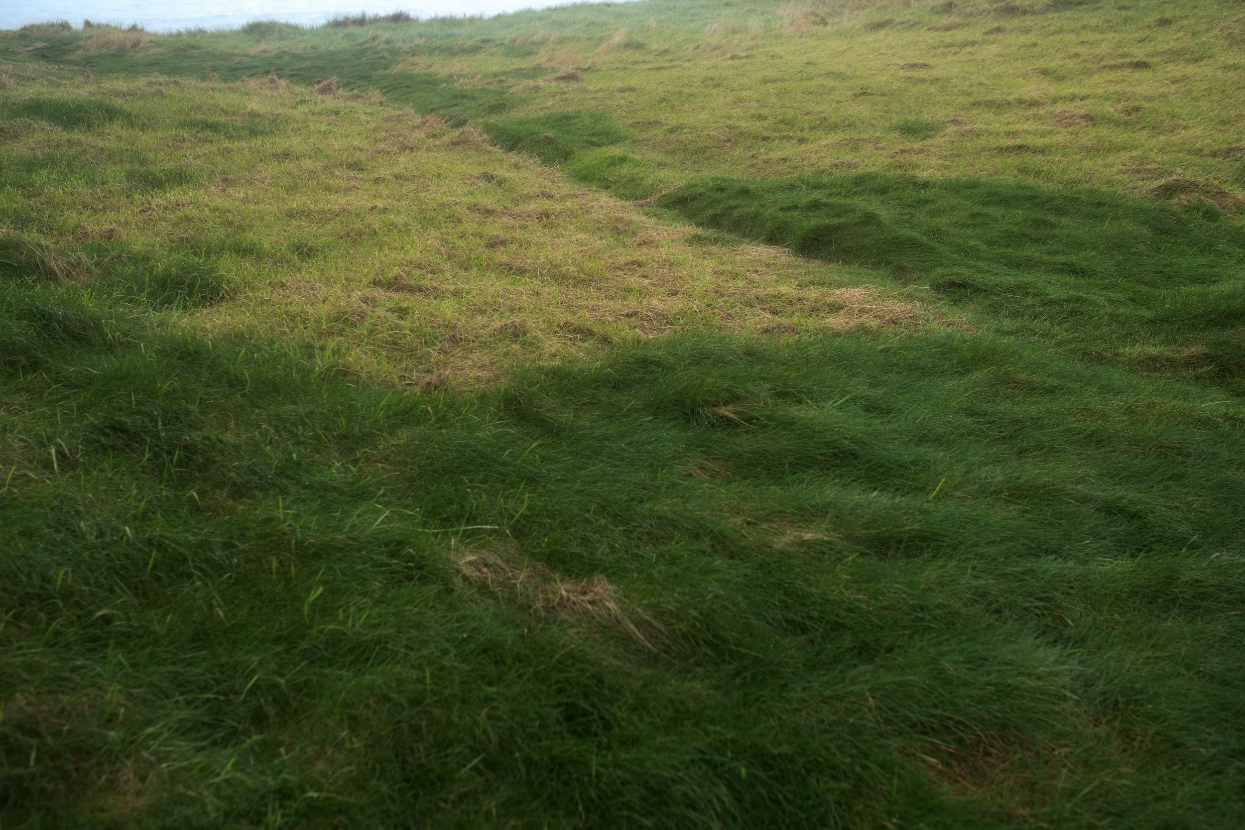 Kernow4.jpg