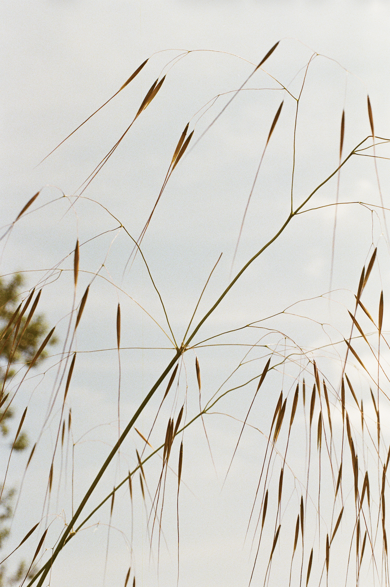 Screenshot 2026-04-29 at 14.34.09.png