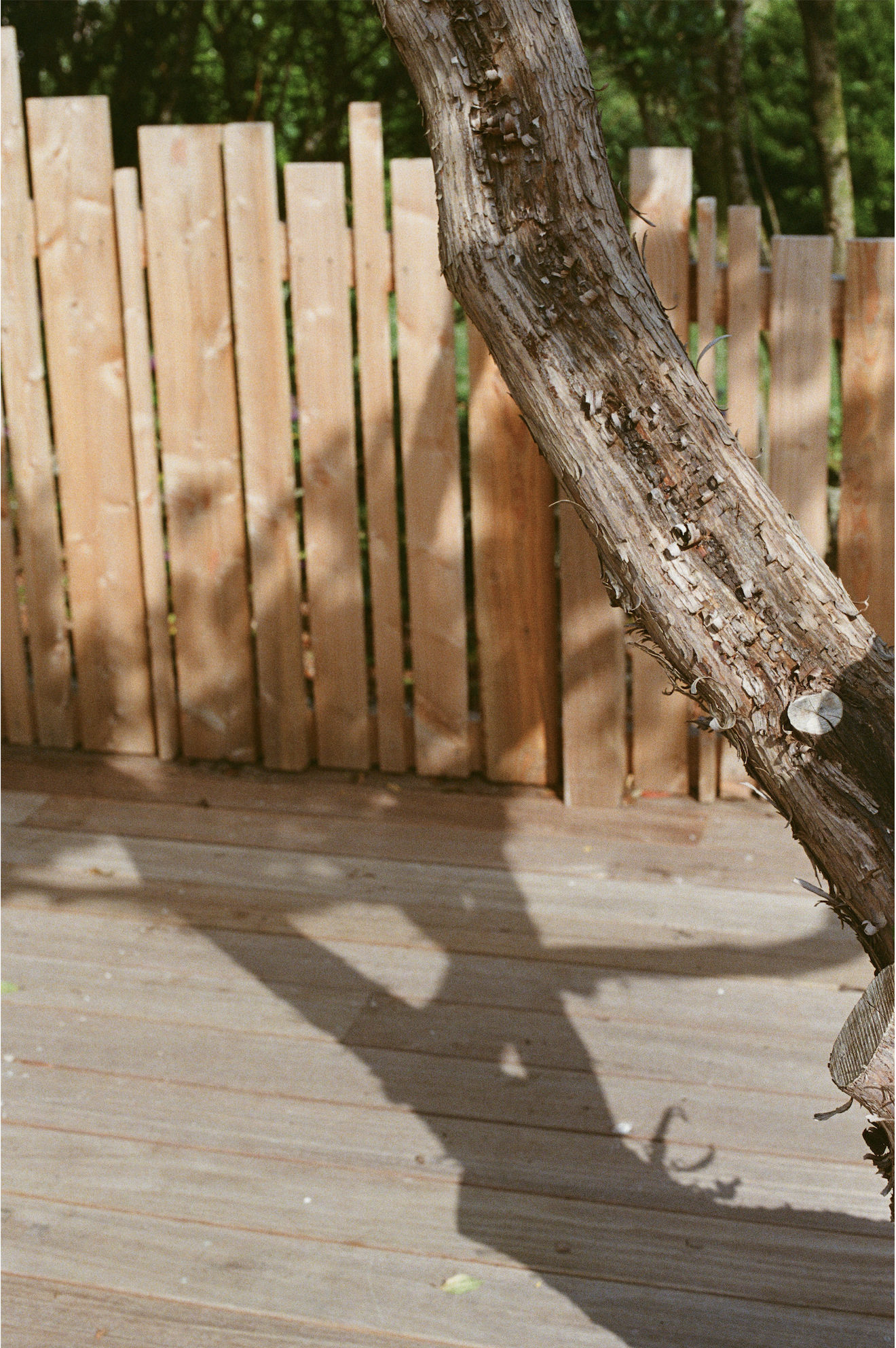 Screenshot 2026-04-29 at 14.33.03.png