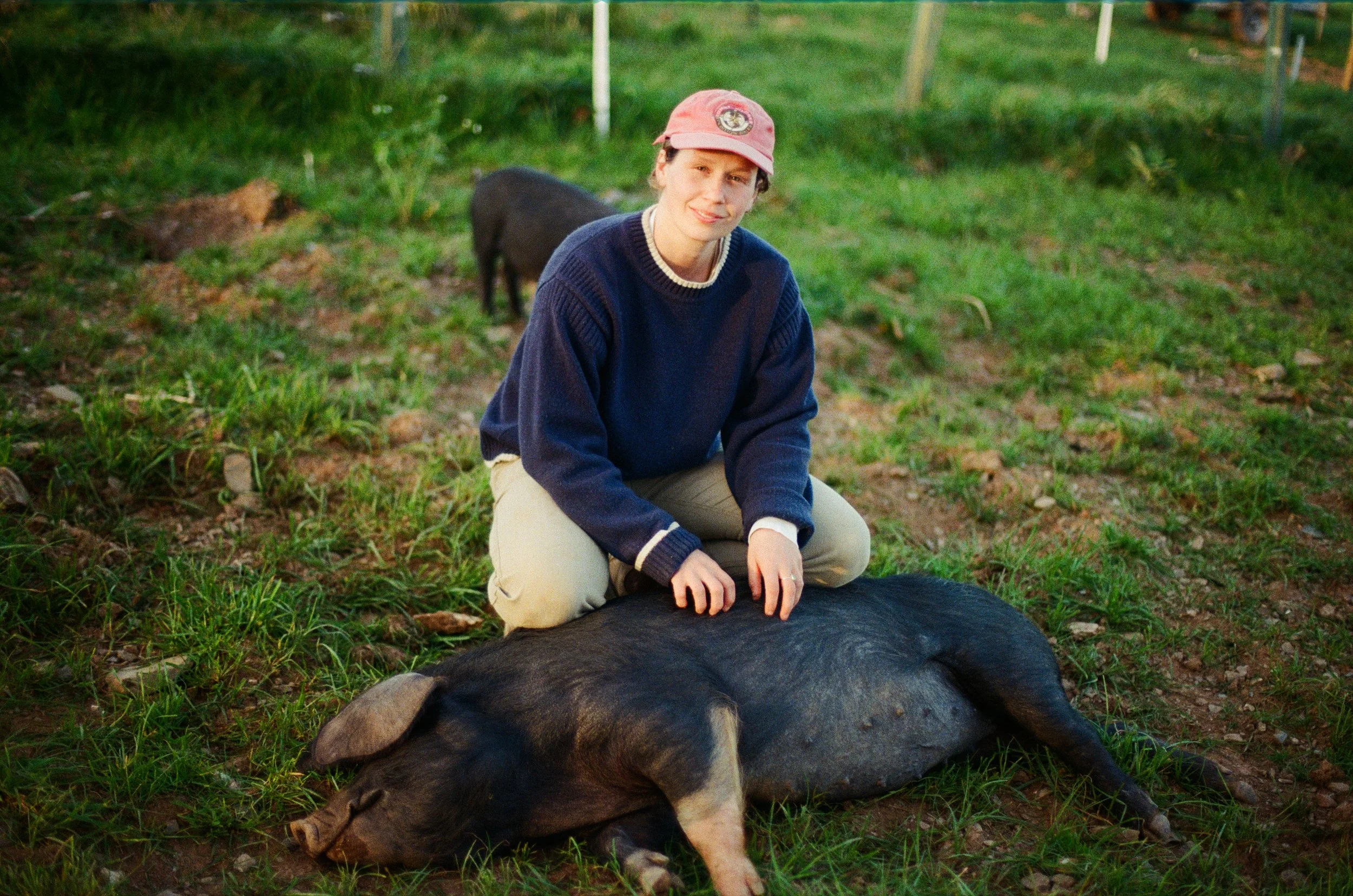 18Ellie+Pigs ©Kasia Murfet.jpg