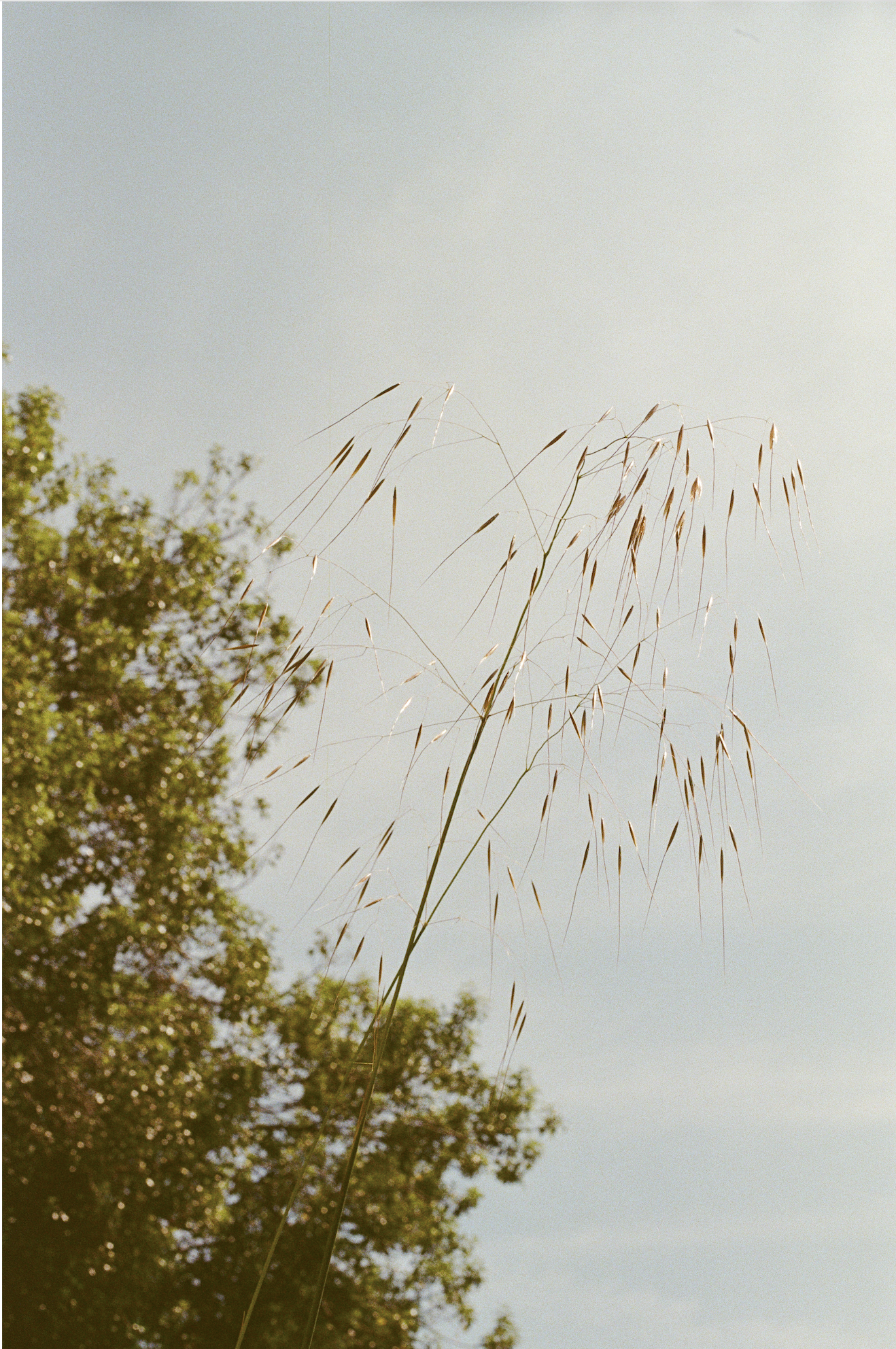 Screenshot 2026-04-29 at 14.33.59.png