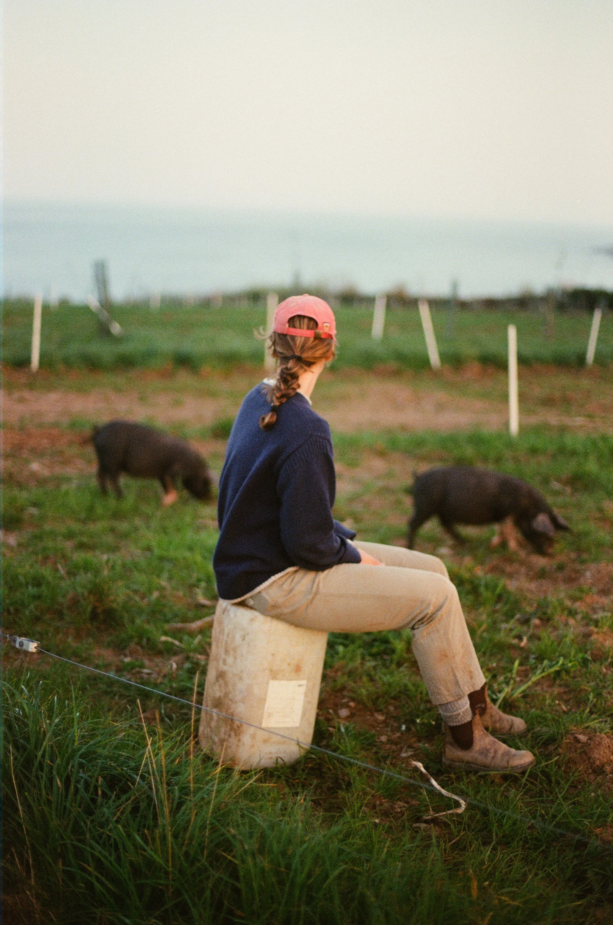 25Ellie+Pigs ©Kasia Murfet.jpg