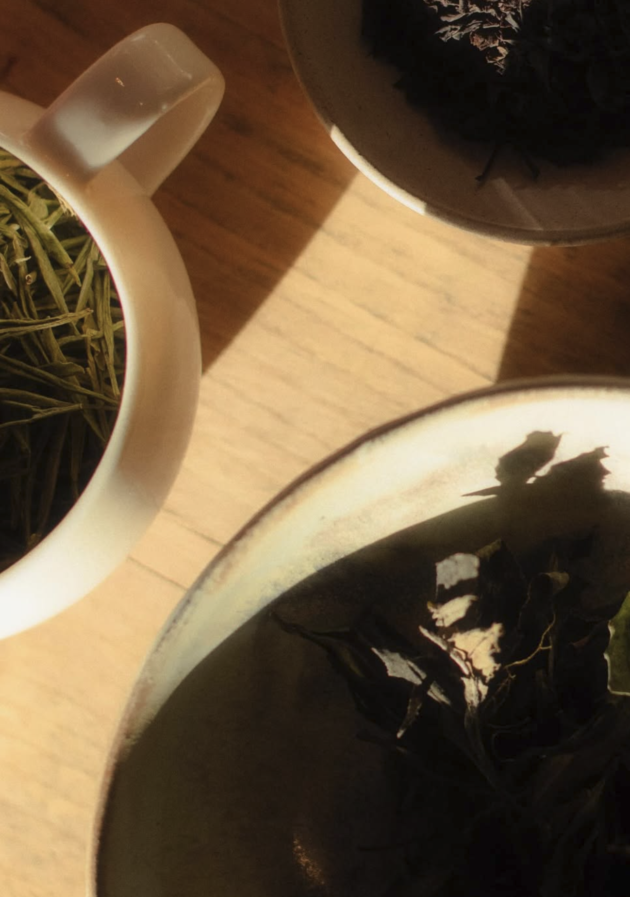 Screenshot 2026-03-10 at 14.07.23.png