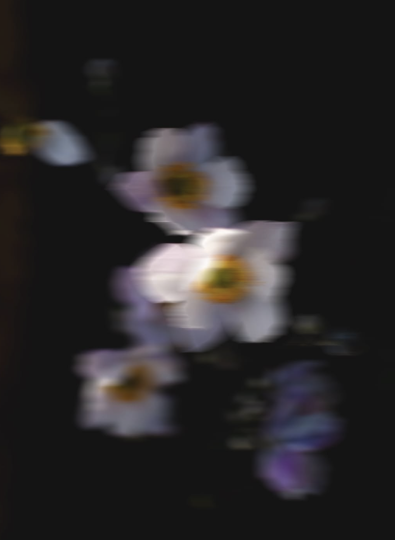 Screenshot 2026-04-29 at 14.05.20.png