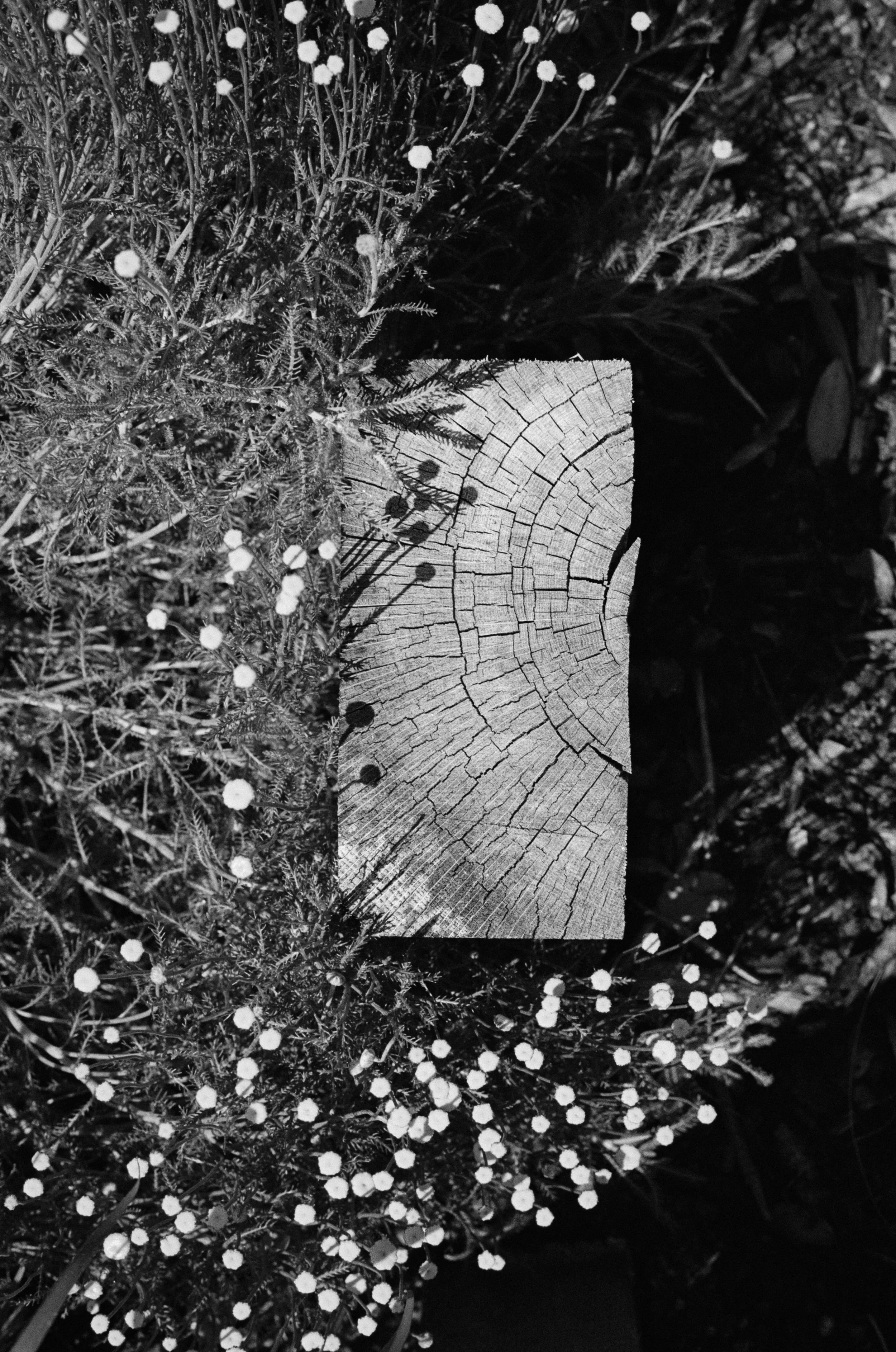 23Tom Austin_35mm ©Kasia Murfet.jpg