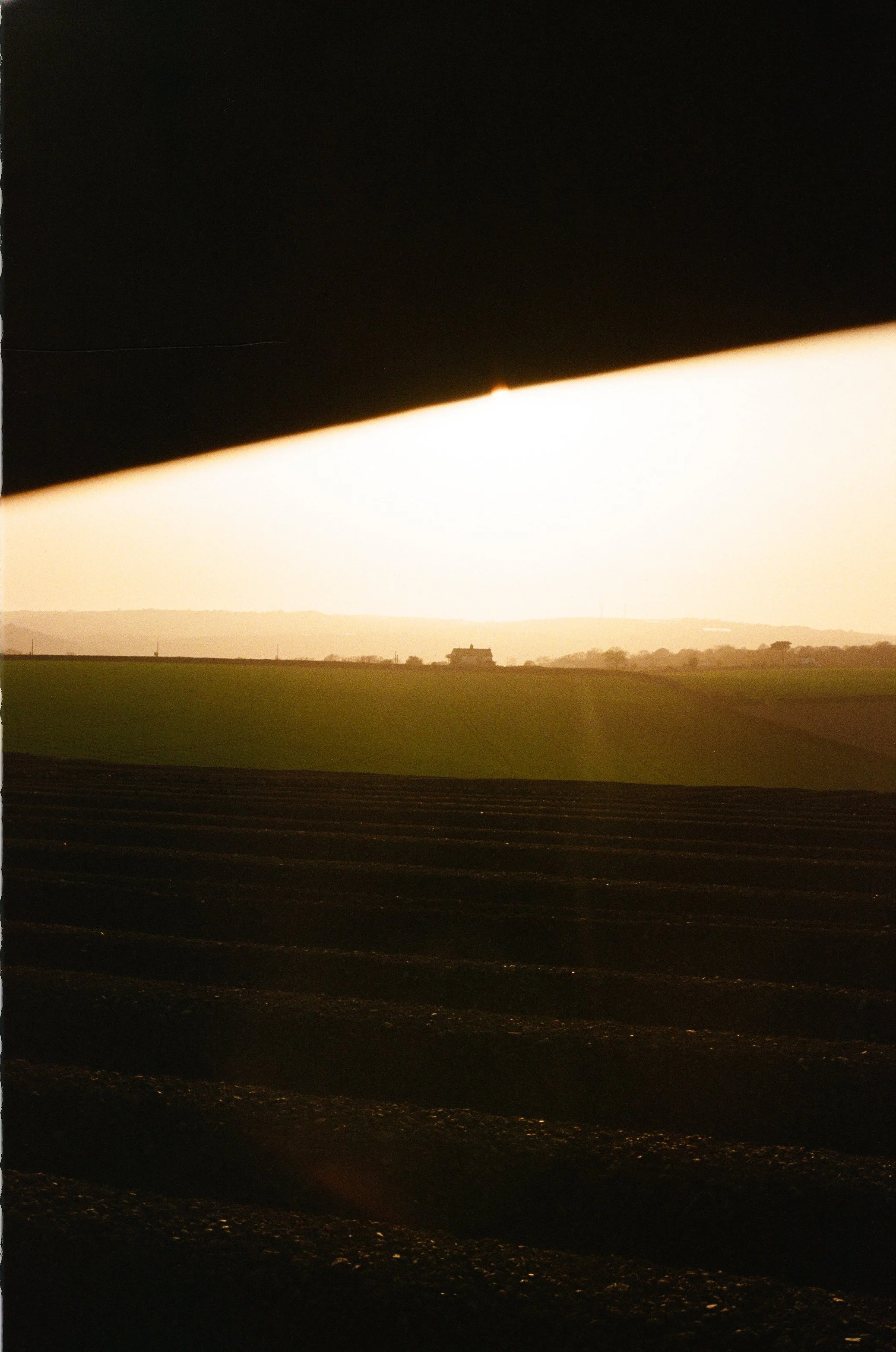 11Ellie+Pigs ©Kasia Murfet.jpg