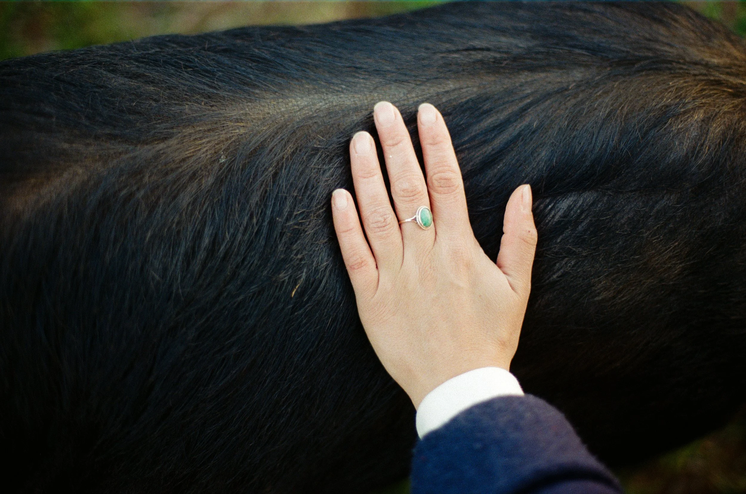 21Ellie+Pigs ©Kasia Murfet.jpg