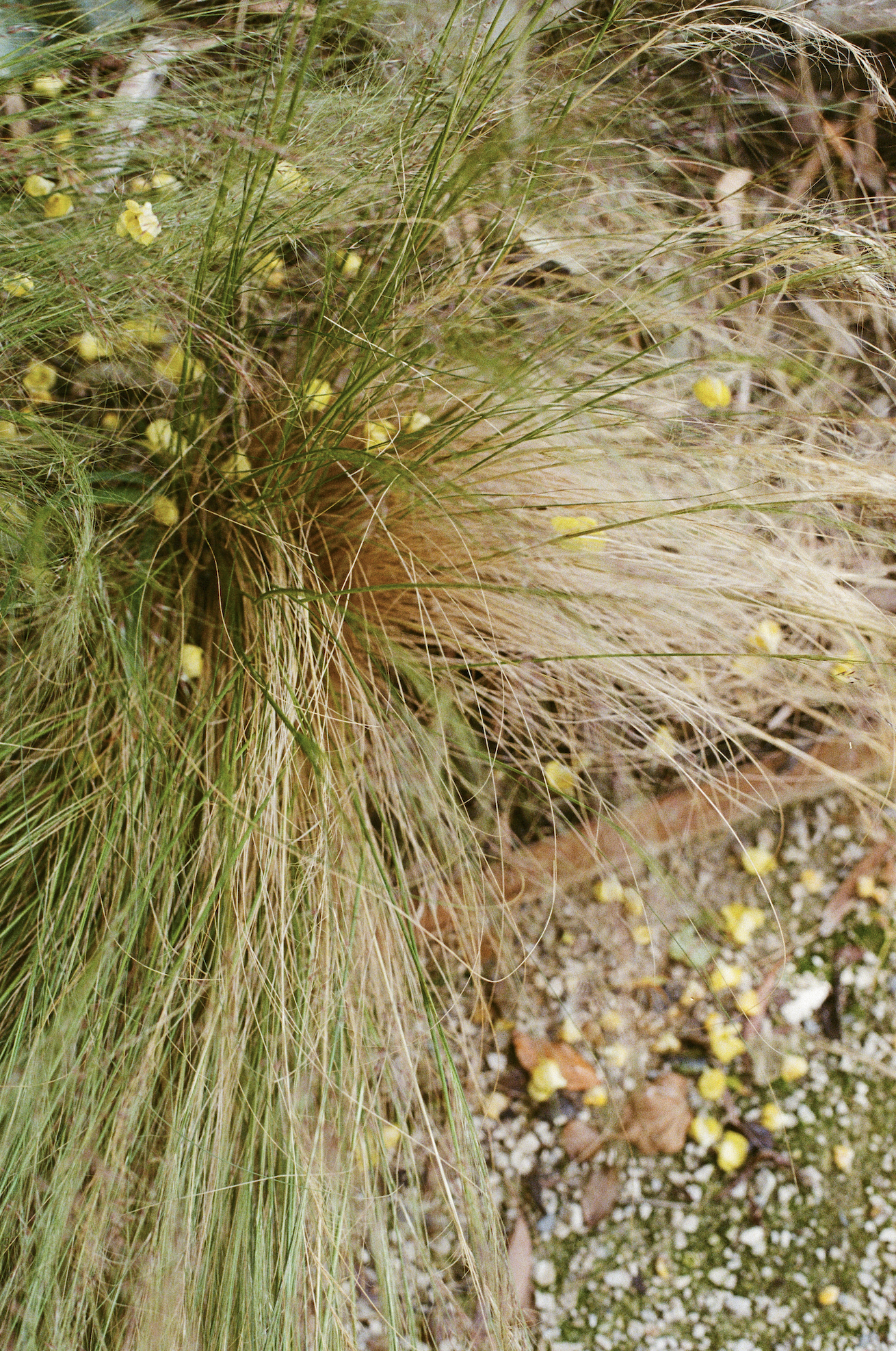 Screenshot 2026-04-29 at 14.33.41.png