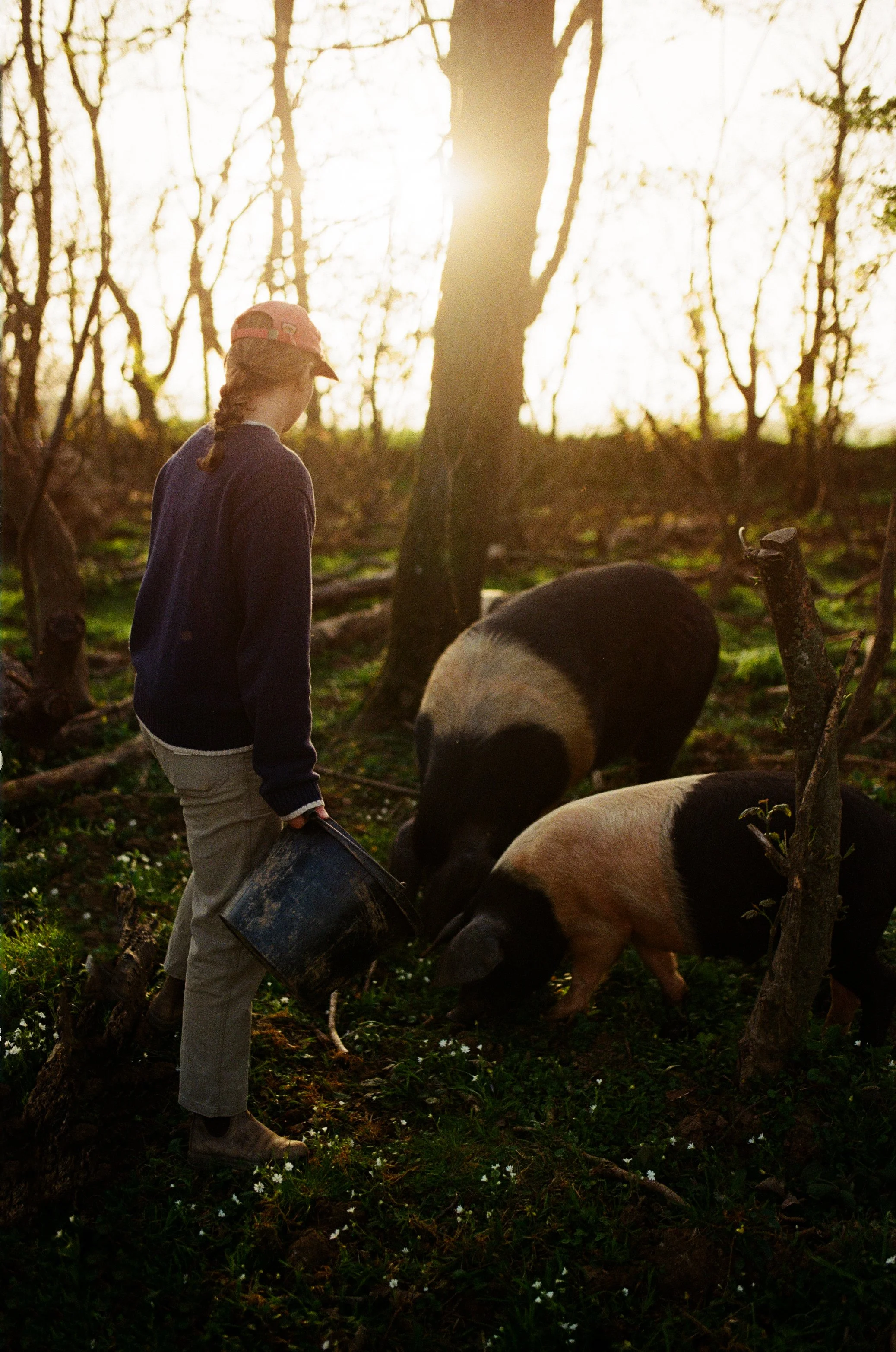 5Ellie+Pigs ©Kasia Murfet.jpg