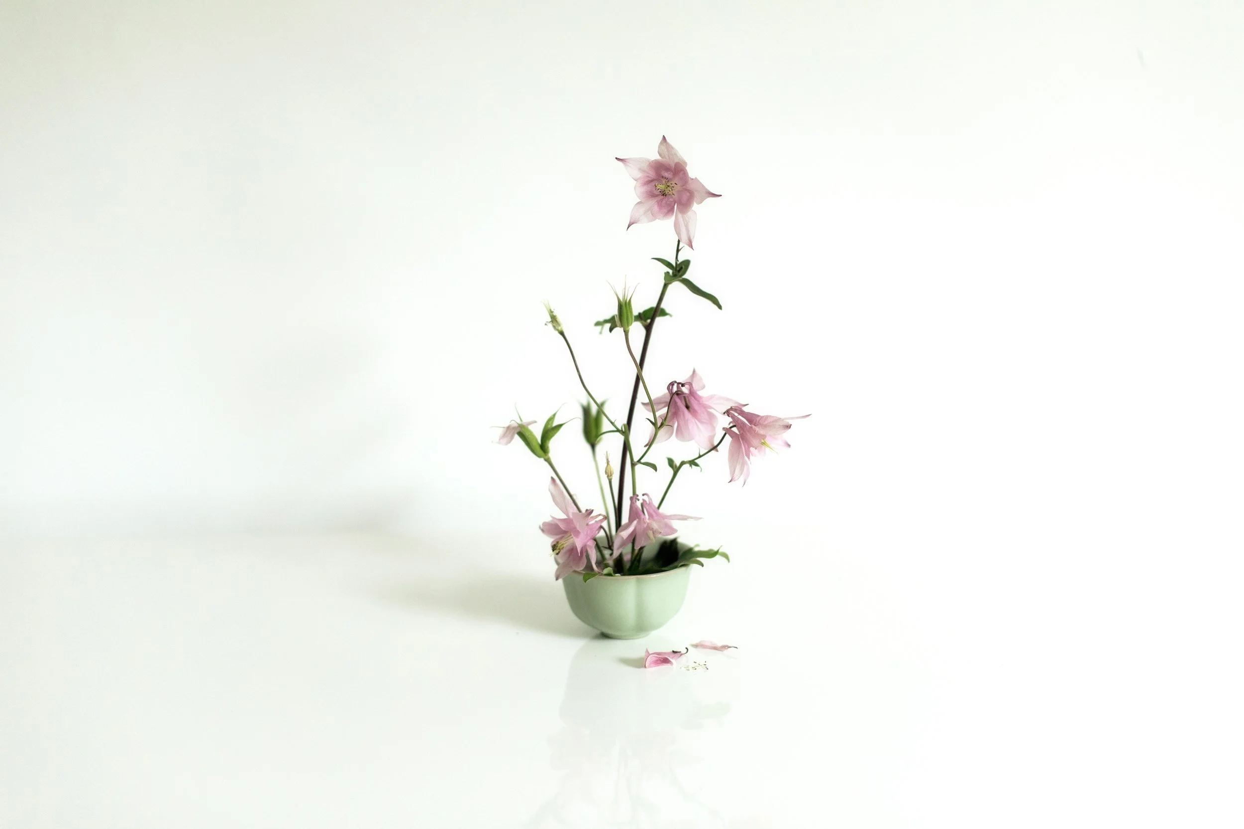 athome10.jpg