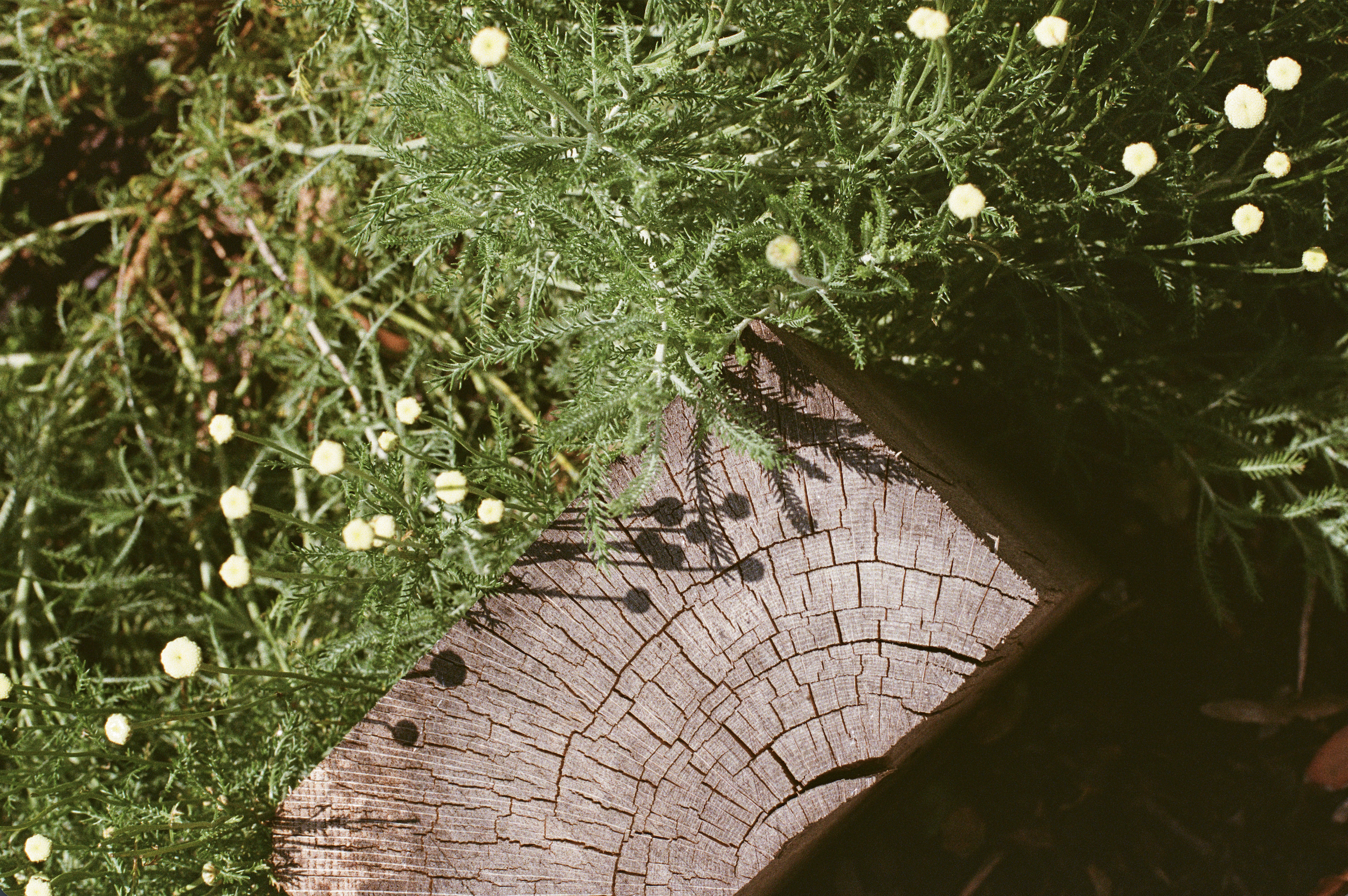 Screenshot 2026-04-29 at 14.34.17.png