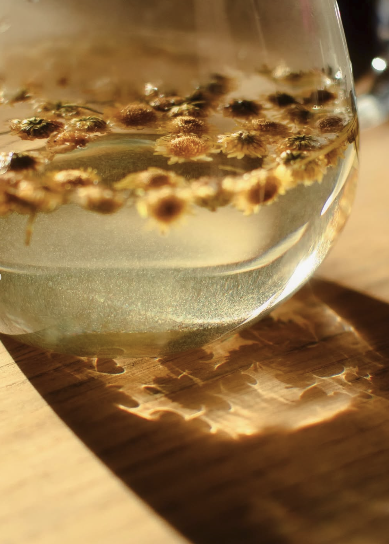 Screenshot 2026-03-10 at 14.07.32.png