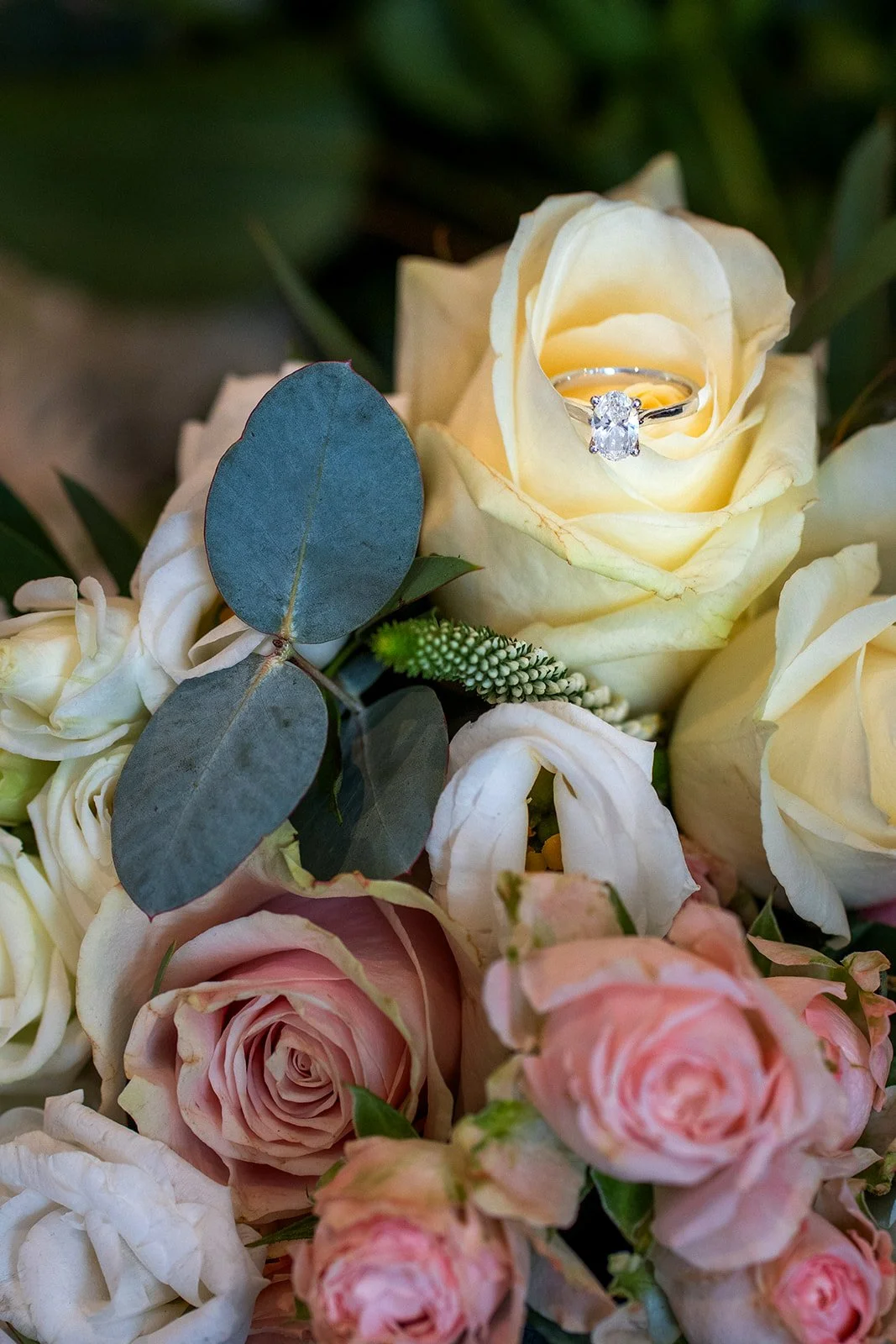 85M00183_websize.jpgPaolo Furlan Photography- Wedding Photographer Ireland- Westgrove Hotel Wedding Venue- West Grove Hotel- Wedding Photography- Paolo Photography- .jpg