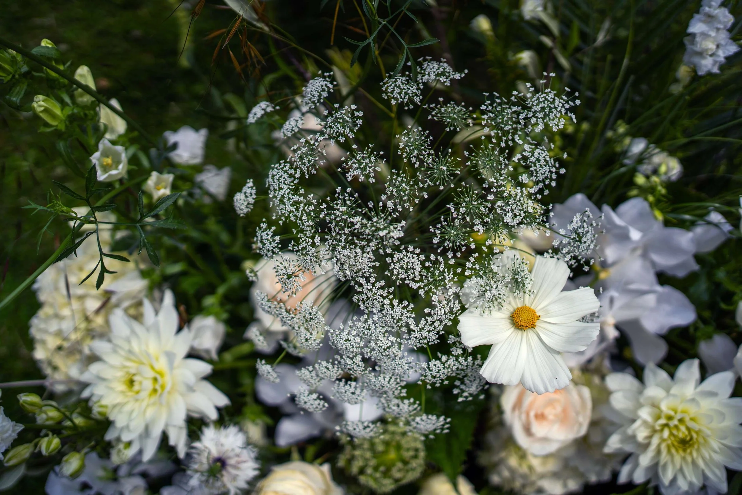DSC09255.jpgPaolo Furlan Photography- www.paolofurlanphotography.com- Paolo Photography- Wedding Photography Ireland- Wedding Photographer Ireland- Wedding Photographer Dublin- Wedding Photography- Luxury Wedding Photography- Roundwood House Ireland -.jpg