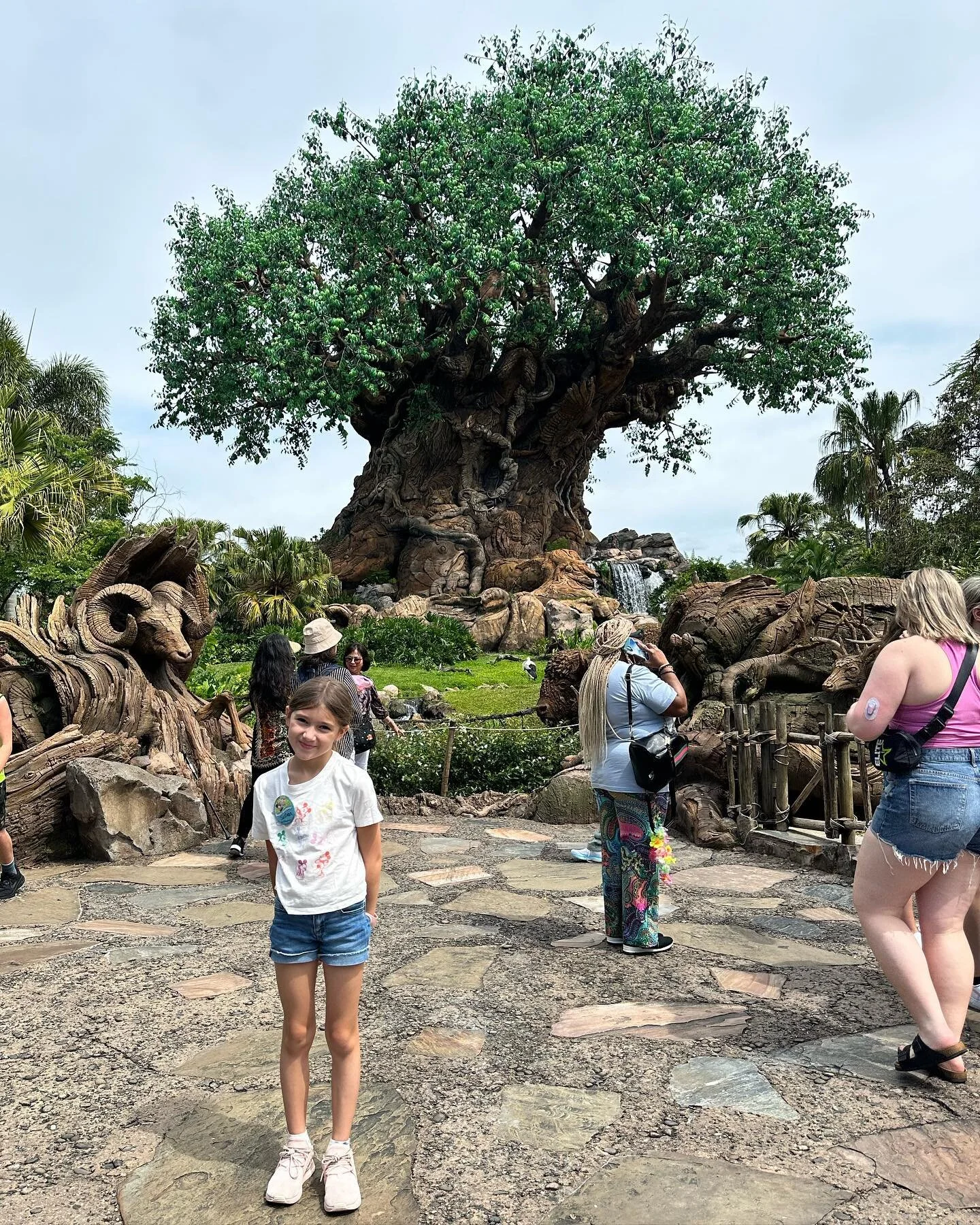 We celebrated Sullivan turning 9 today at Animal Kingdom and Hollywood Studios 🙌🏼 What a day 🎉 4.19.14