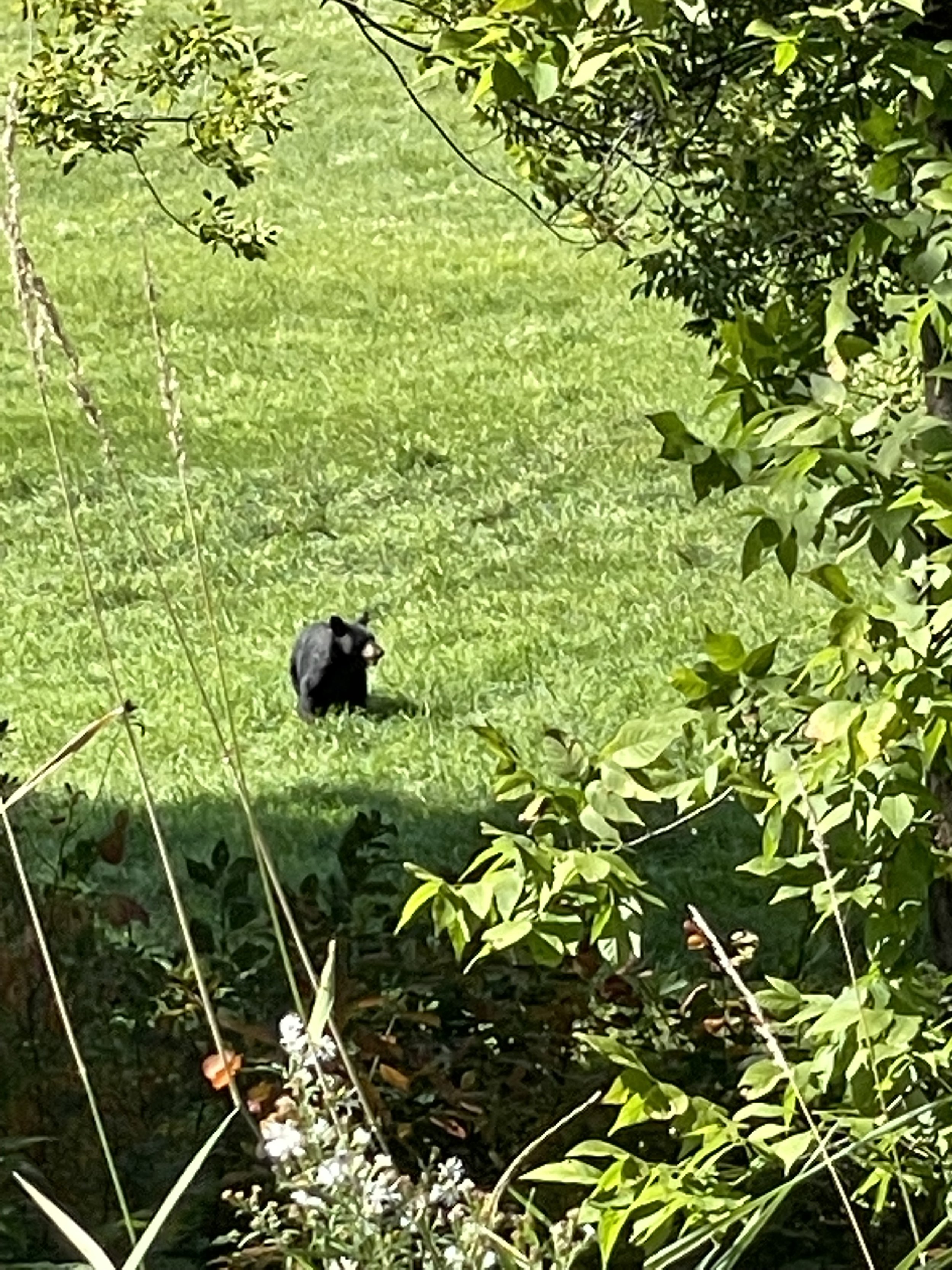 IMG_0651.jpeg