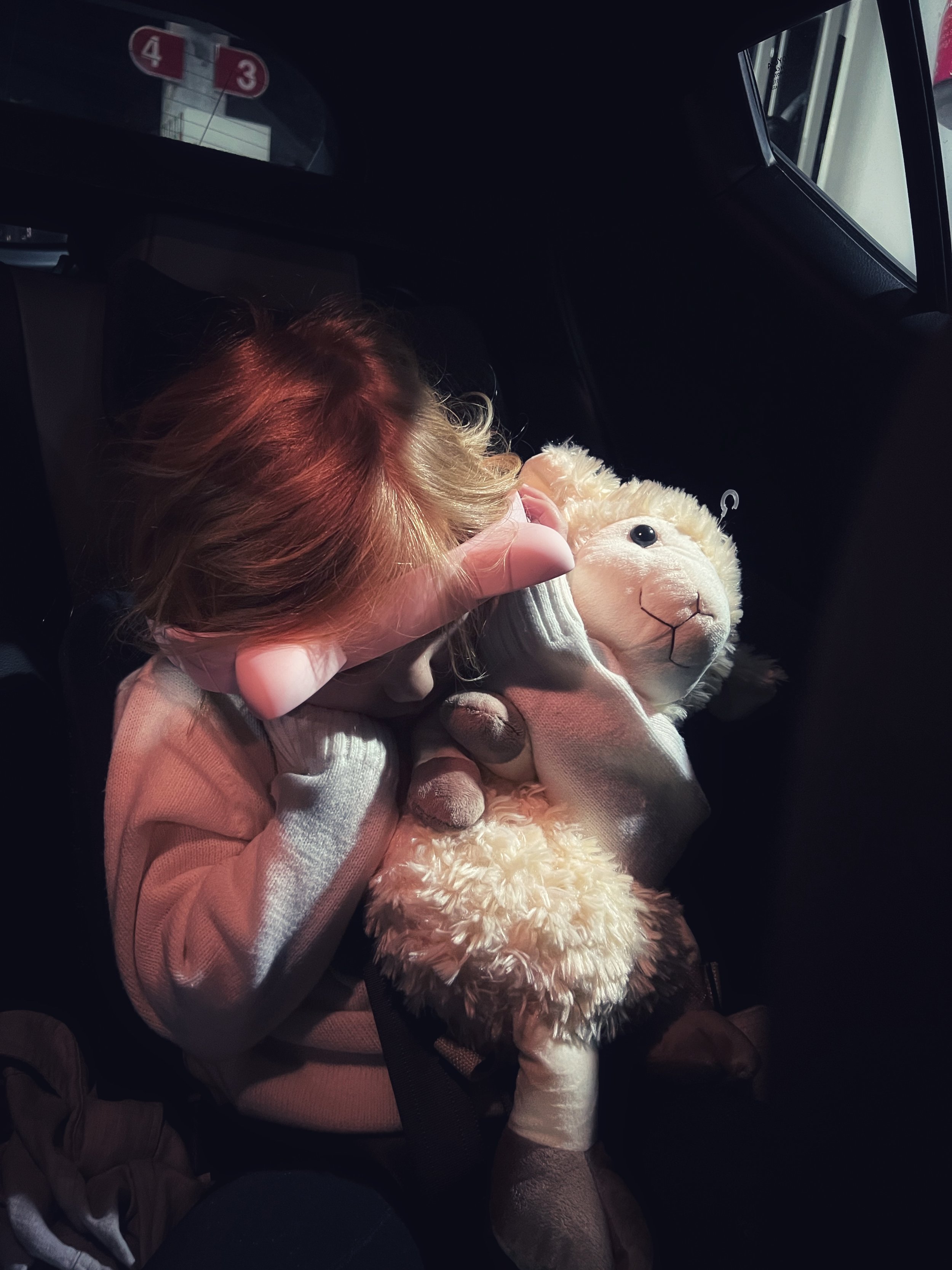 EC54F346-BA32-4291-8E62-A78ED60A1461_1_201_a.jpeg