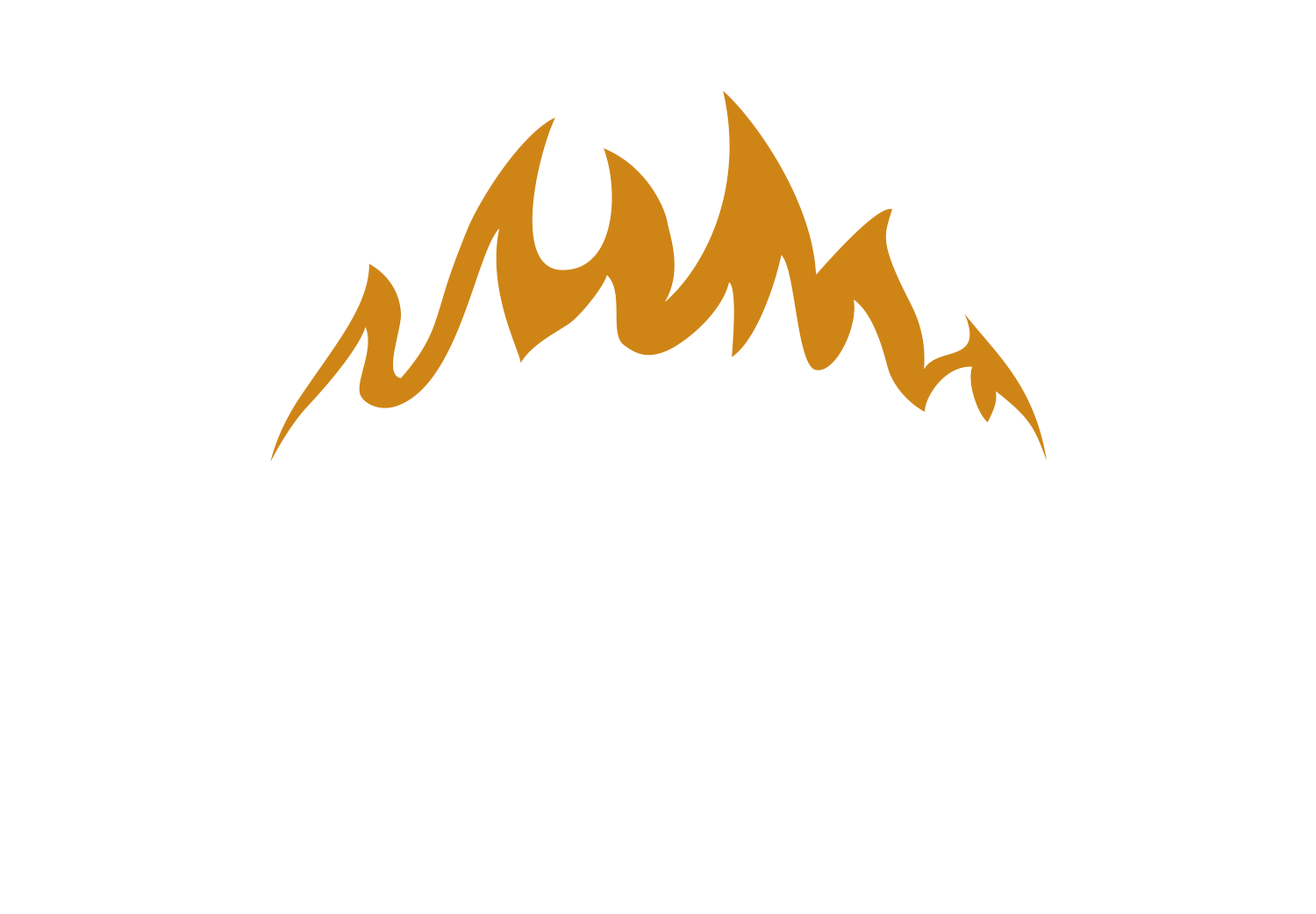 Nicky&#39;s BBQ