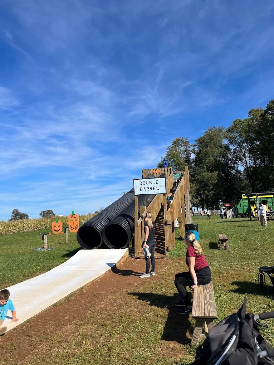 Howard County Mom Explores: Gaver Farm