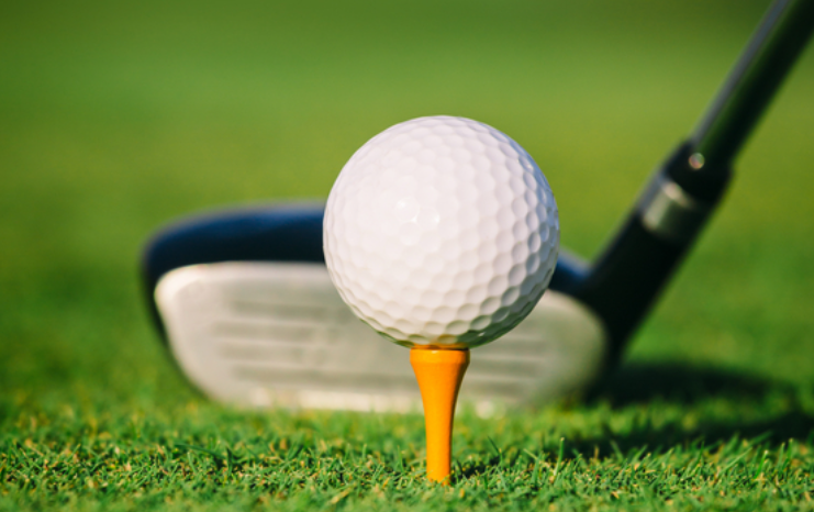 Join the Celebration of Sports Golf Tournament in Elkridge, MD at Timbers at Troy