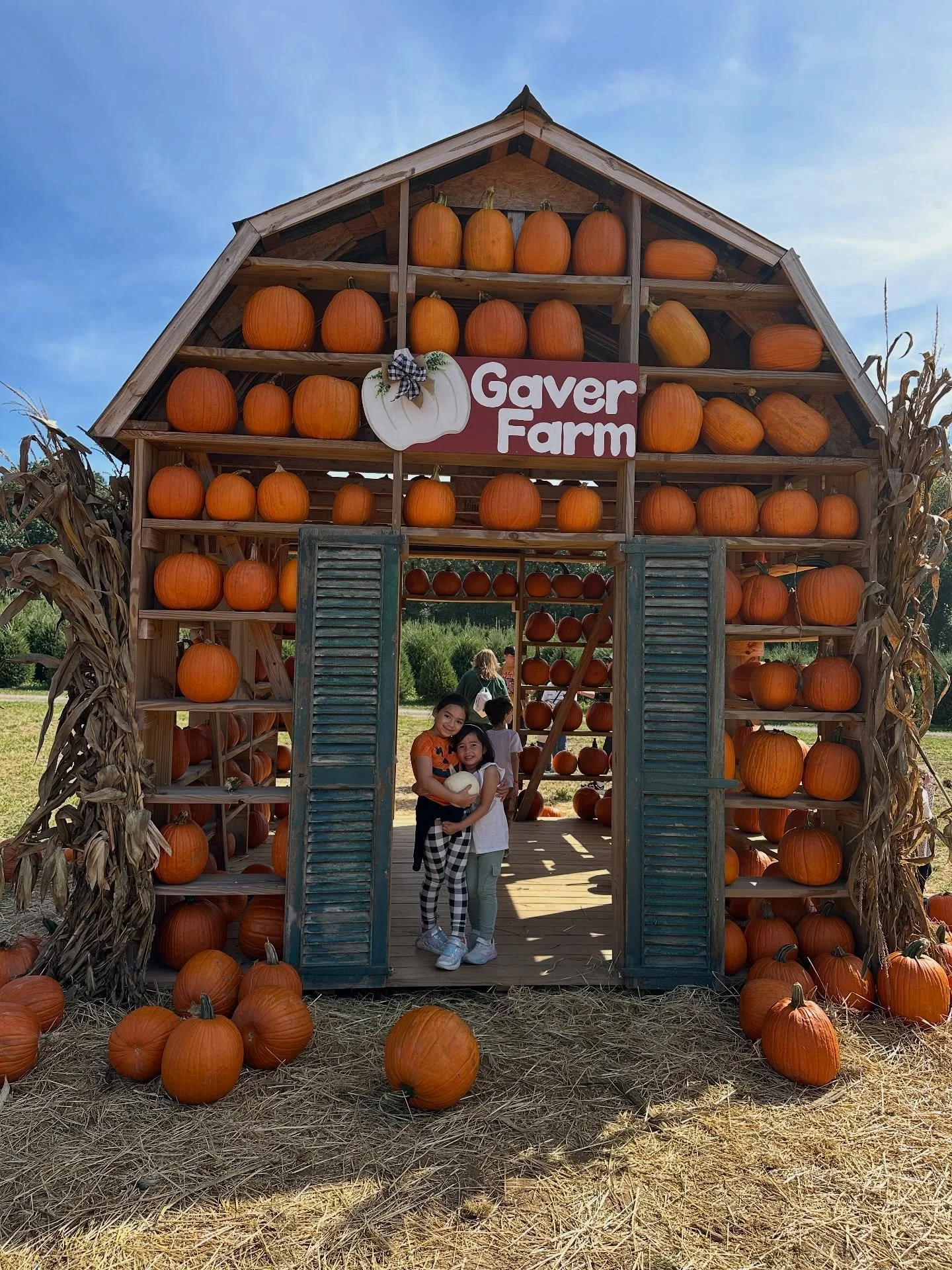 🎃 @gaverfarm FALL FEST! 

It&rsquo;s less than an hour from both Baltimore and DC, which makes it the perfect little day trip. This is definitely one of our favorites for a reason! 

😂 There are over 65 activities &mdash; corn mazes, giant slides, 