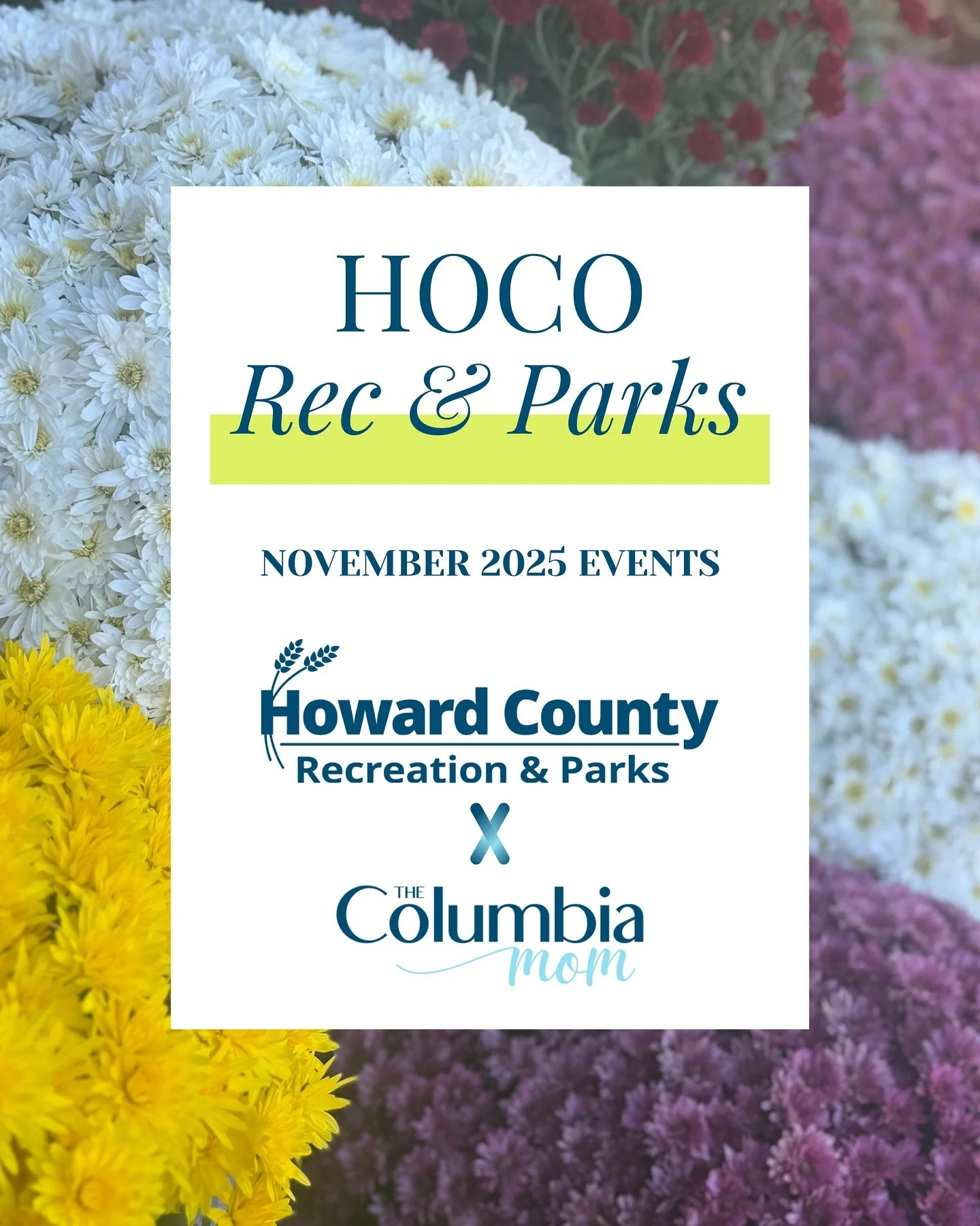Can you believe it&rsquo;s already November?!&nbsp;🦃 
I swear we were just picking pumpkins&hellip; and now it&rsquo;s full-on cozy season!

If you&rsquo;re ready to make the most of this month before the holidays take over, @hocorec1 has a lineup p