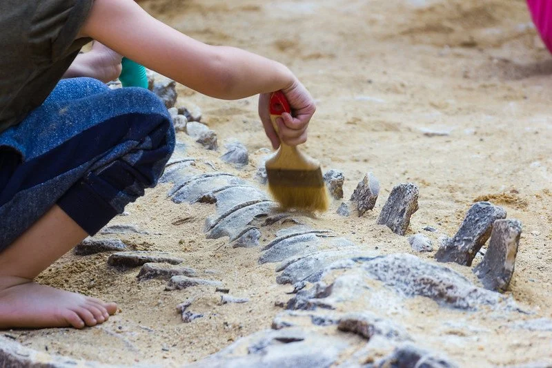 Robinson Nature Center1 .jpg