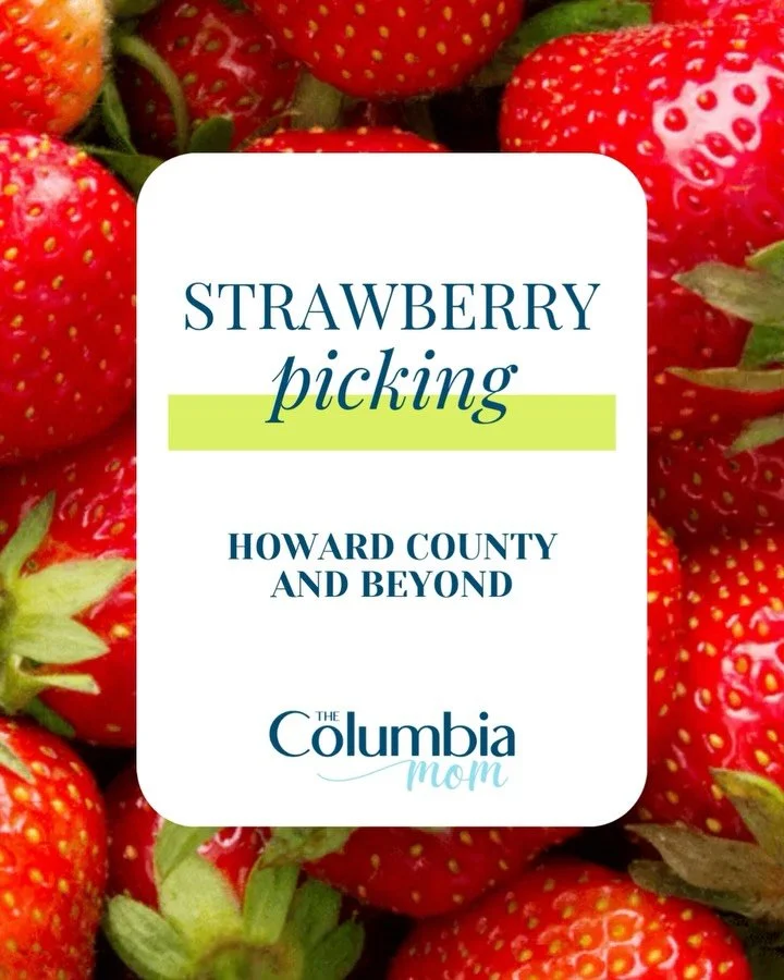 Strawberry season is HERE 🍓 and it goes fast, lasting only about 6 weeks from early May through mid-June! I rounded up my favorite pick-your-own strawberry farms near Howard County and beyond (hello, Eastern Shore 🙌).

We&rsquo;re talking farms clo