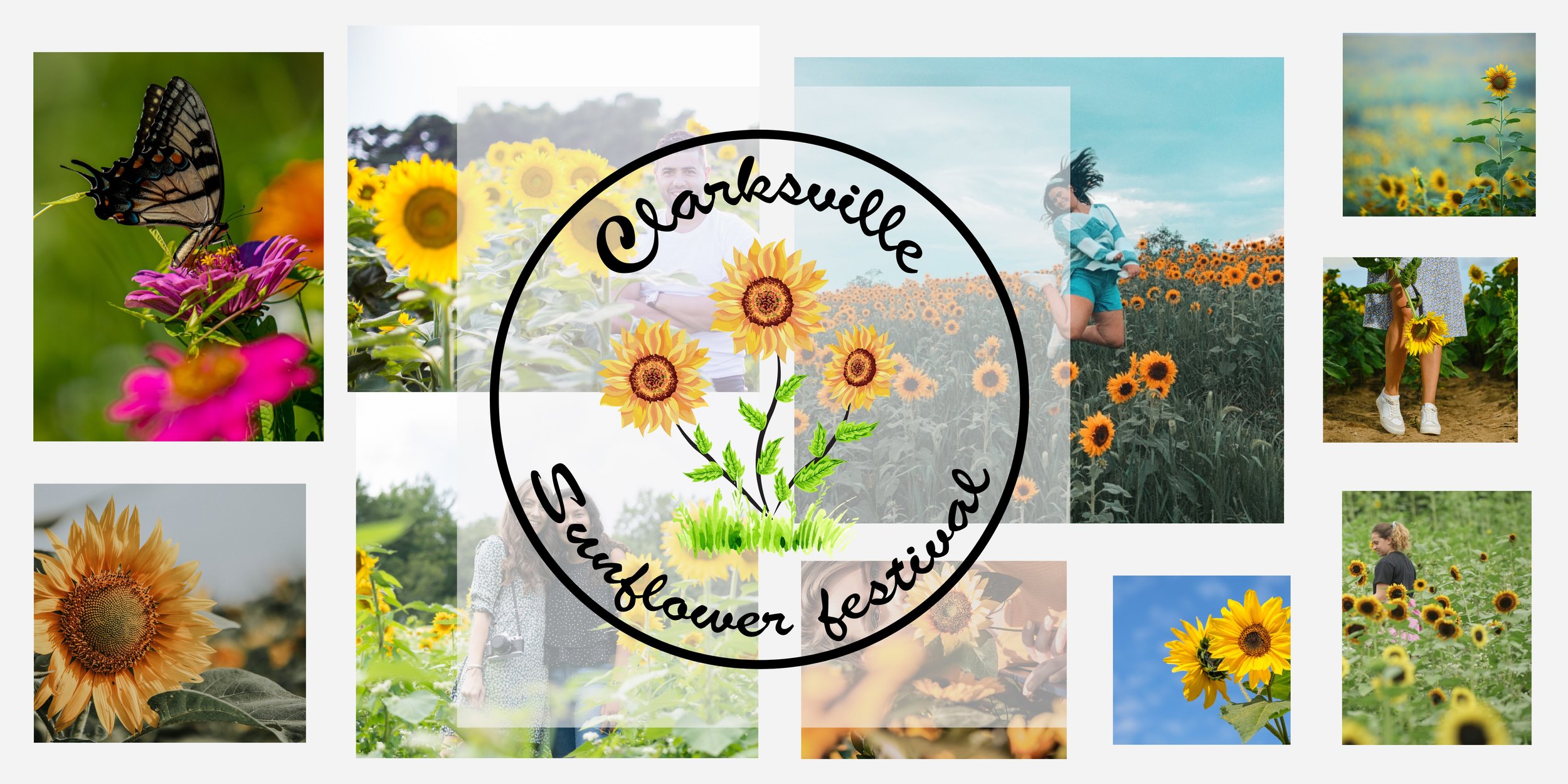 Sunflower Season at Mary's Land Farm
