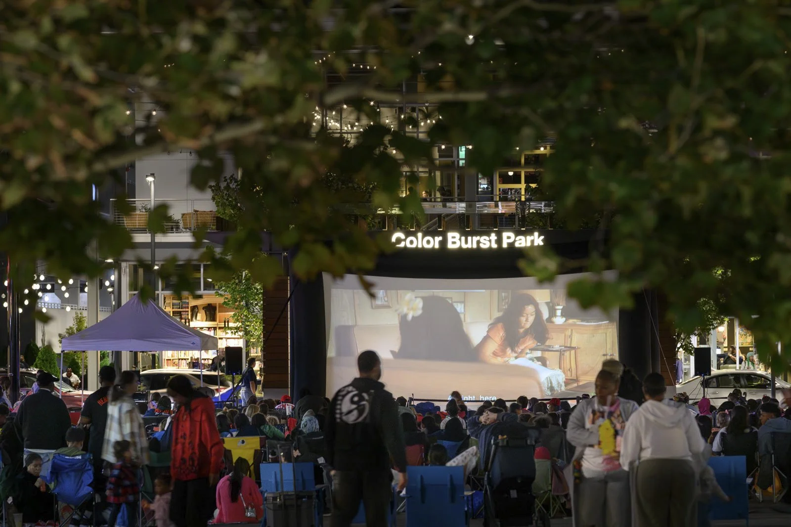 MOVIE NIGHTS IN THE PARK