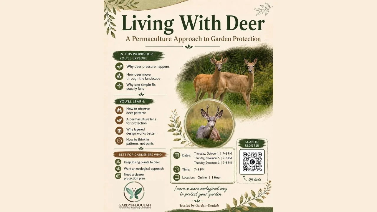 Living With Deer: A Permaculture Approach to Garden Protection