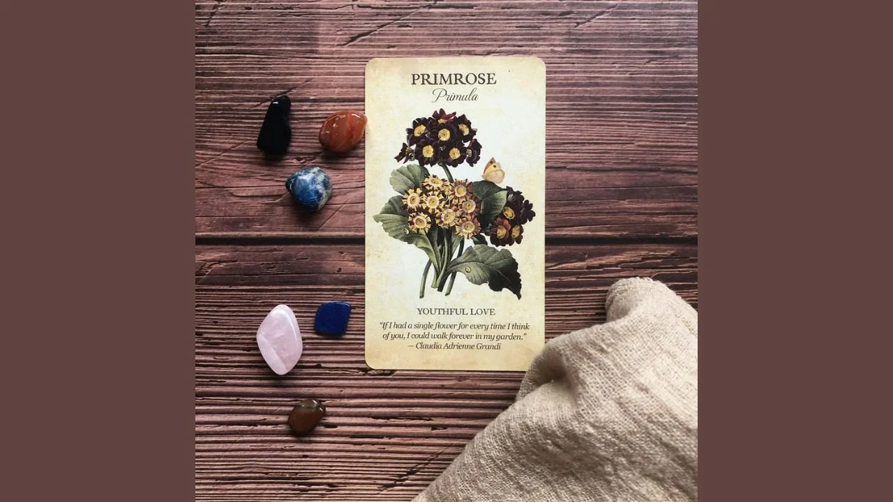 Herbal Oracle: A Practice of Inner Knowing