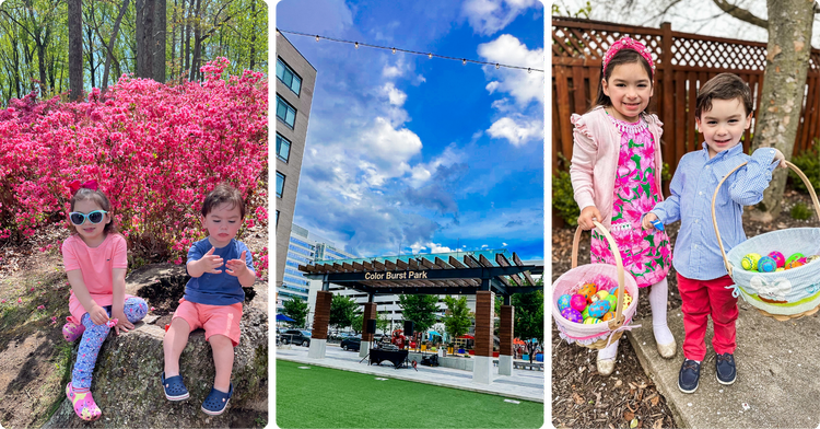 Spring Amh Events Can’t-Miss Spring Events in Howard County, MD (2025 Guide) — The ...