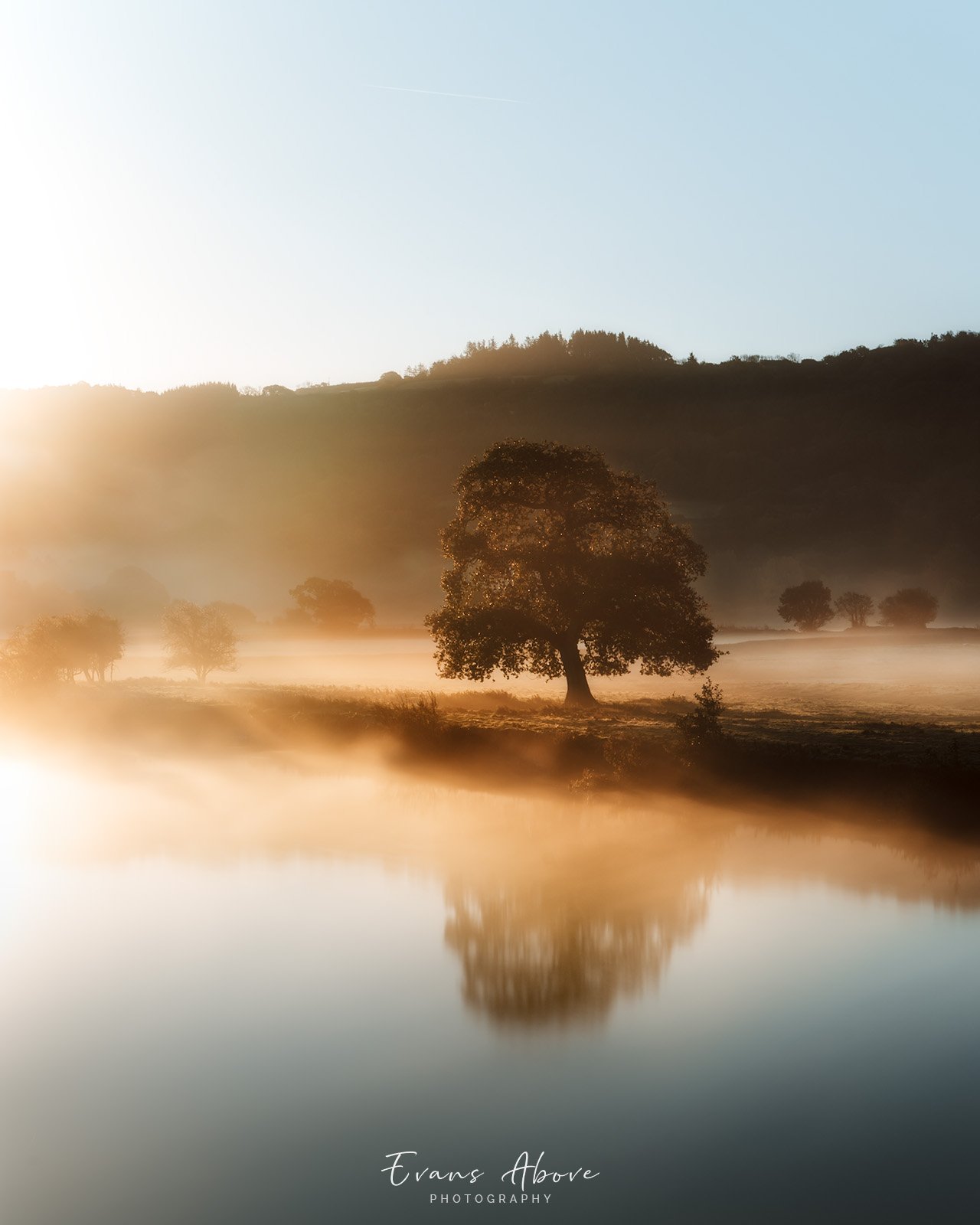 Foggy-tree.jpg