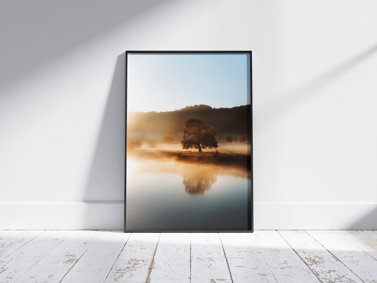 Foggy-tree-frame.jpg
