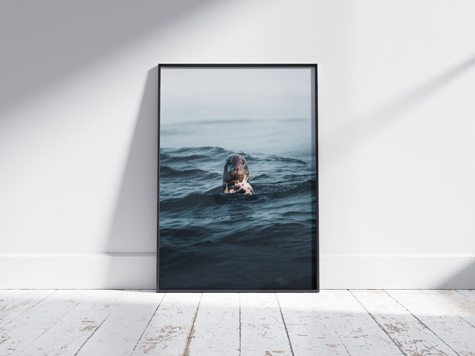 Seal-frame.jpg