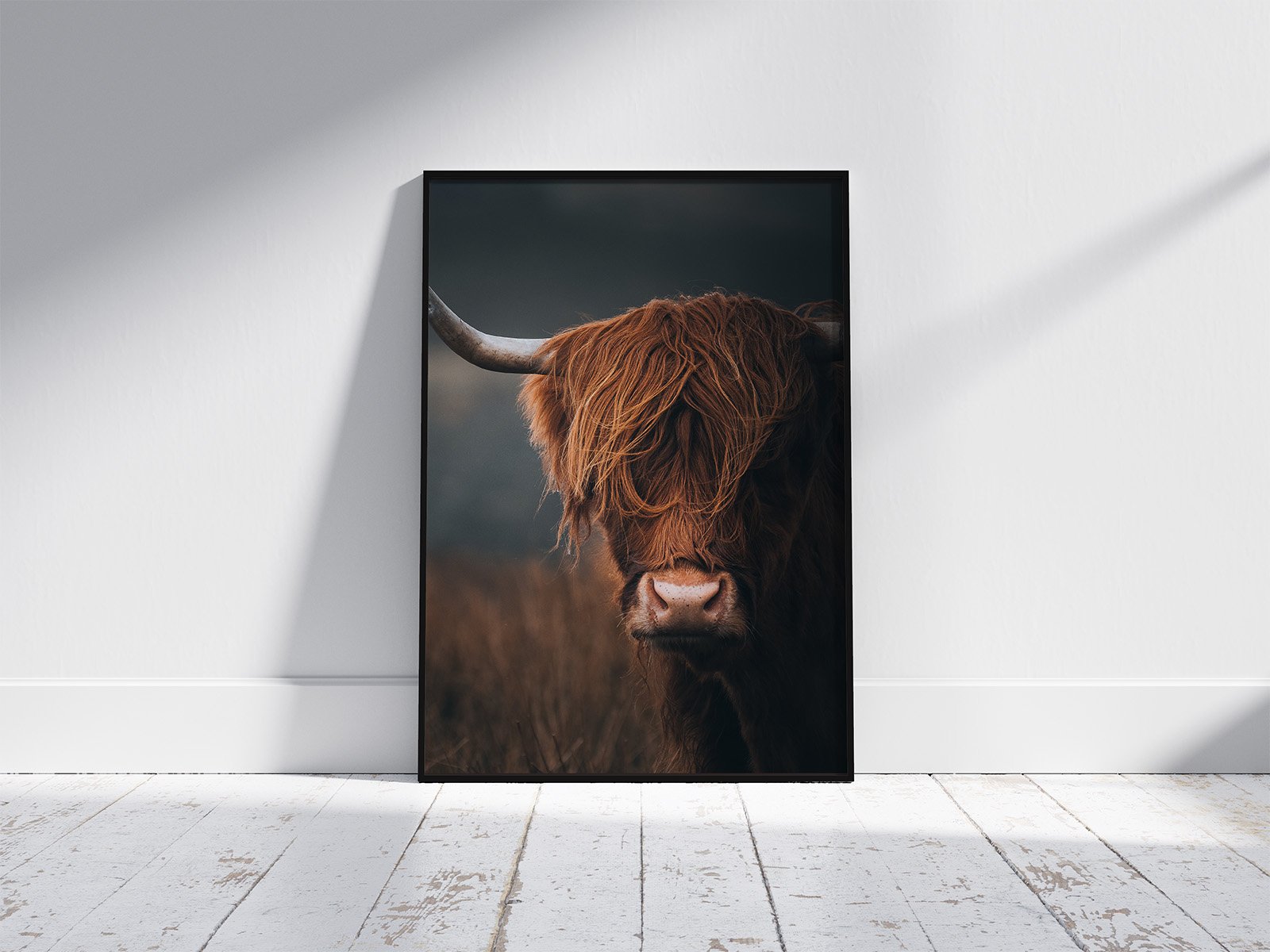 Moody Highland Cow