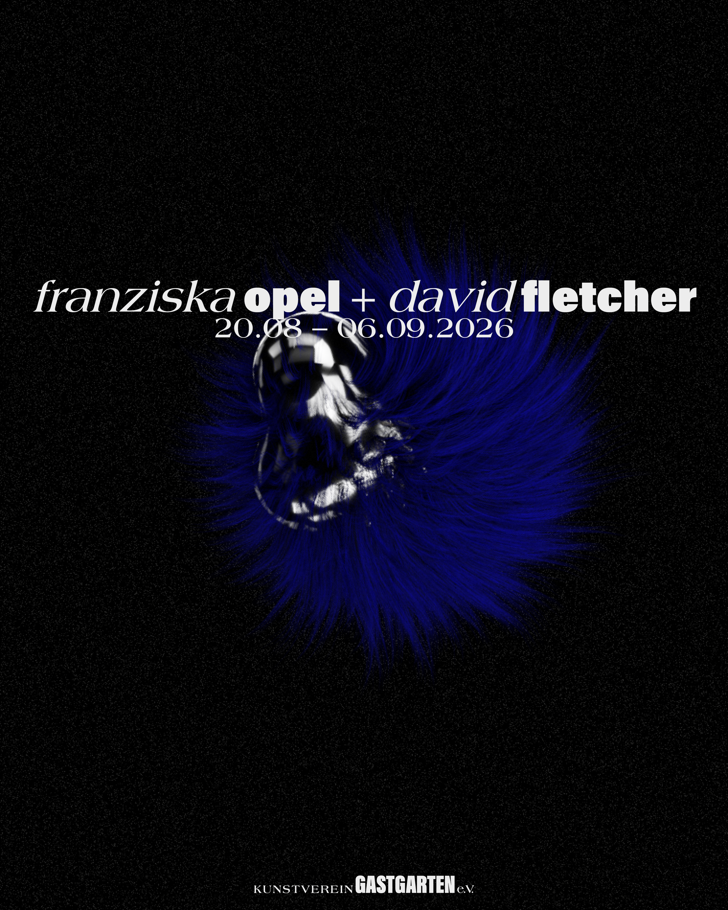 franziska opel + david fletcher: love and obstacles / liebe und hindernisse 2