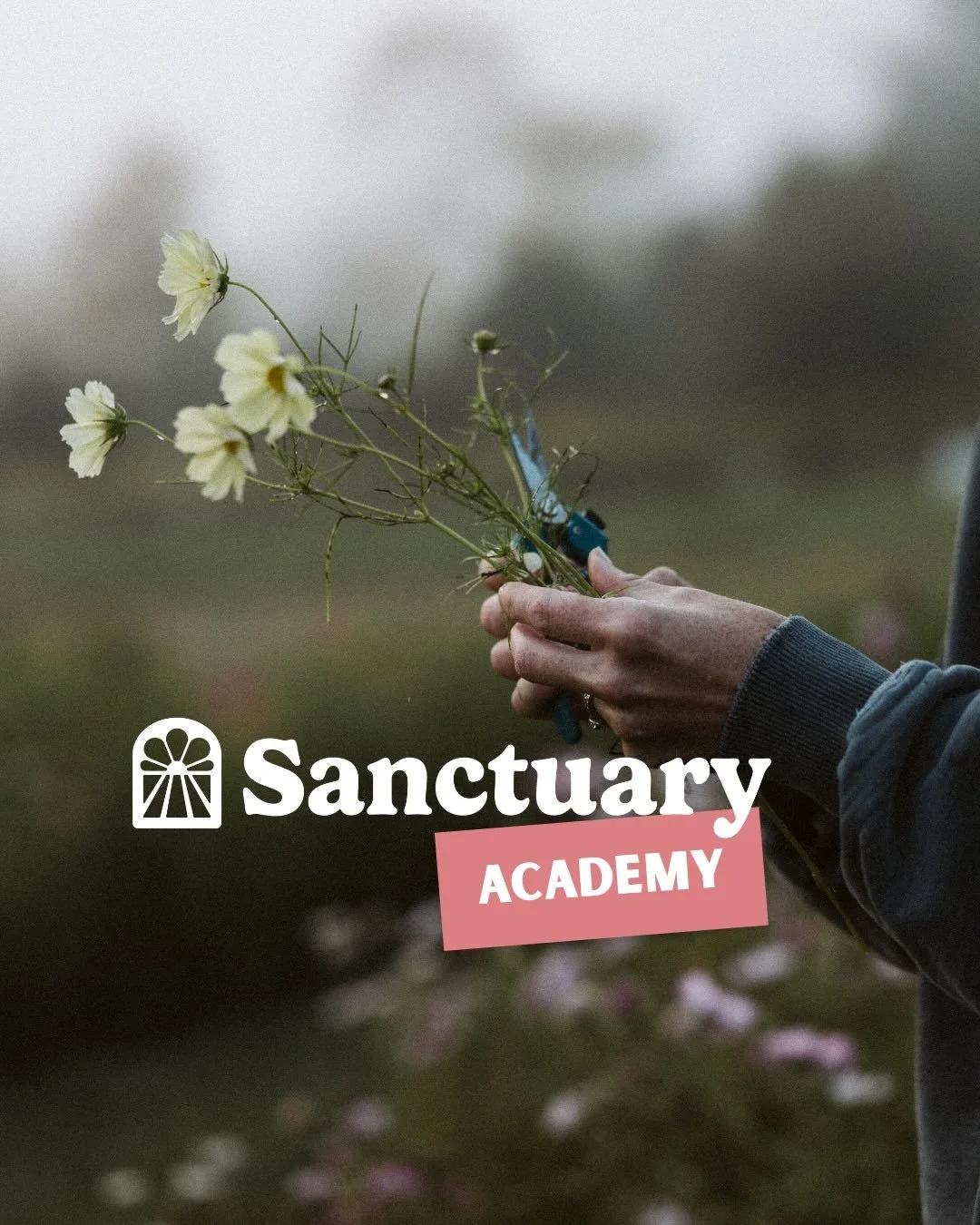Sanctuary Academy 👩&zwj;🏫 

The division of Sanctuary with focus on education and information sharing. (Ironic, I know&hellip; from a person who has at minimum one spelling mistake in each post)

This is the vibe.  Real, honest, imperfect learning 