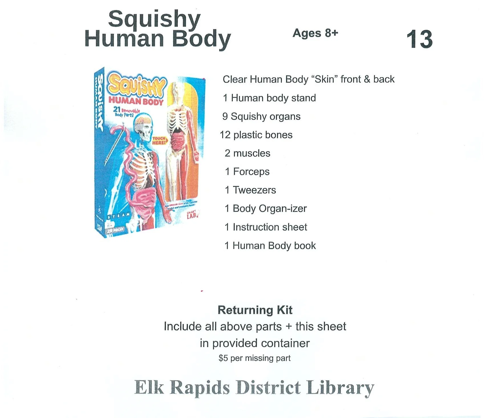STEM Kit 13 Squishy Human Body.JPG