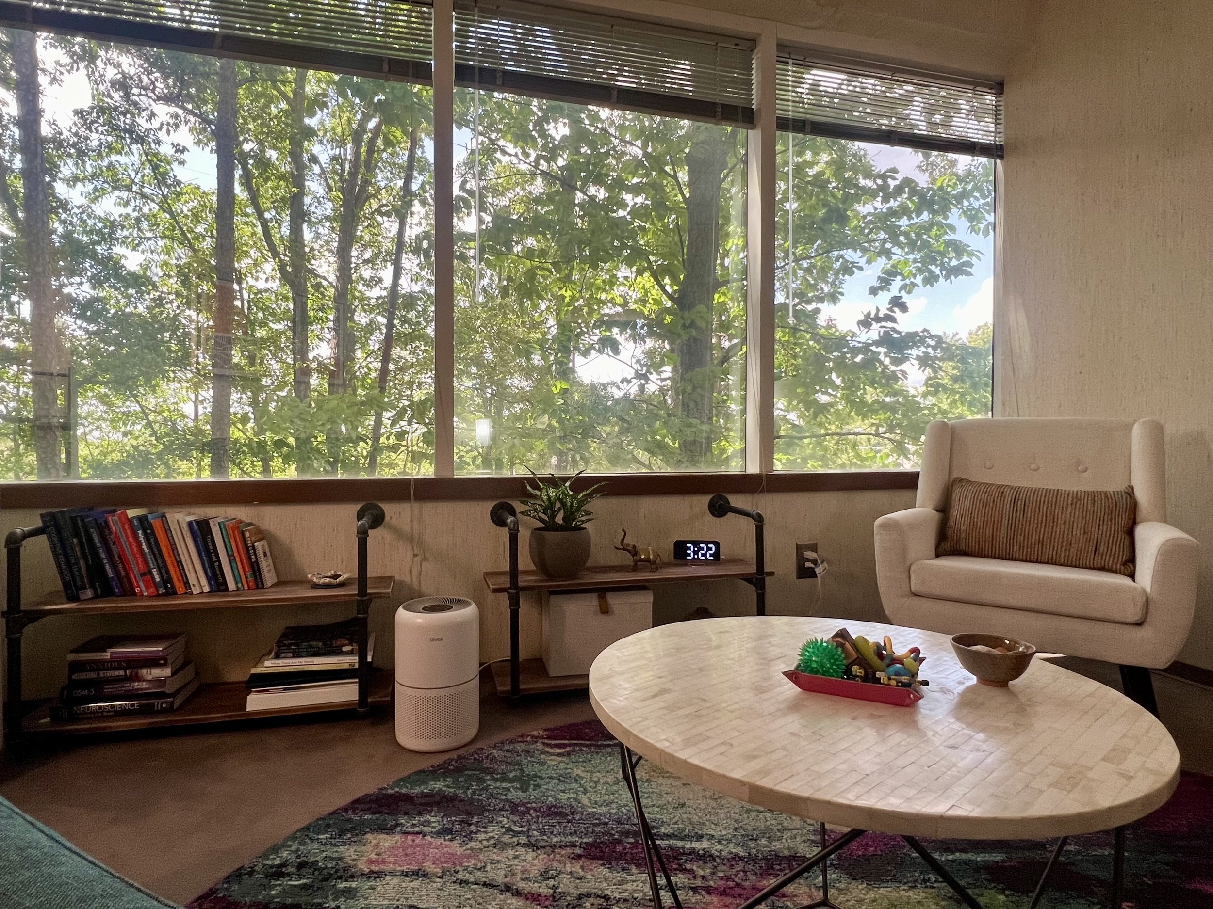 Peaceful view from the couch
