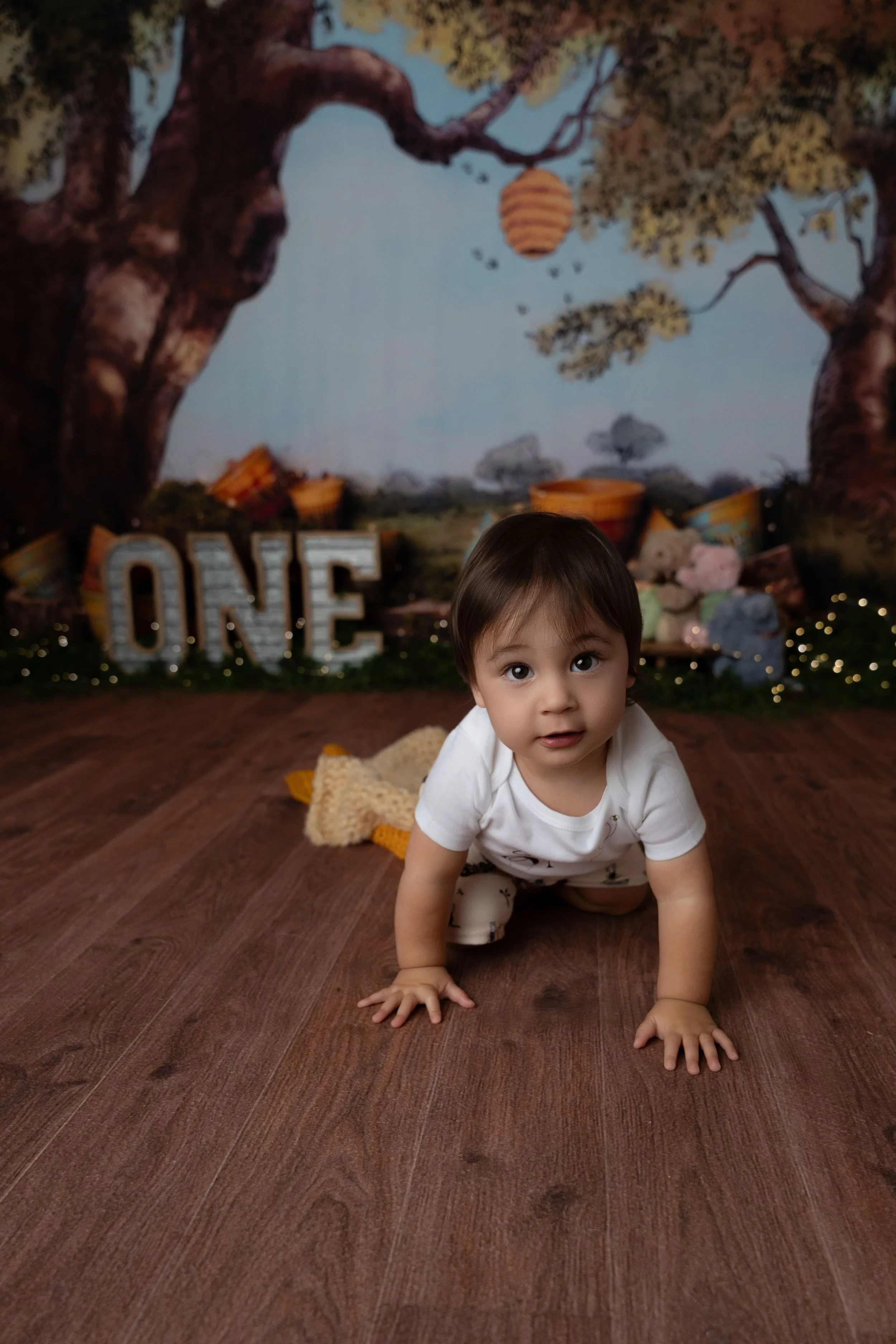 Sweet 1st birthday cake smash photography session in Canton, GA studio featuring baby boy with winnie the pooh theme