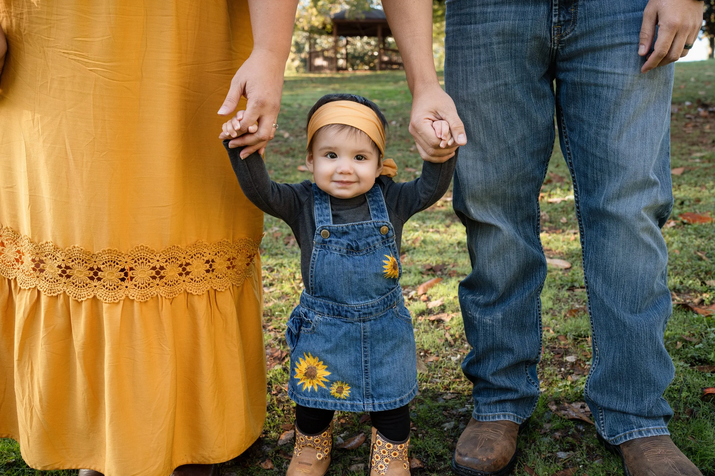 Fall Minis now booking
