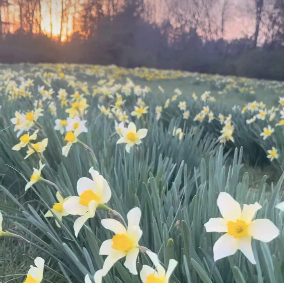 family mini session calhoun