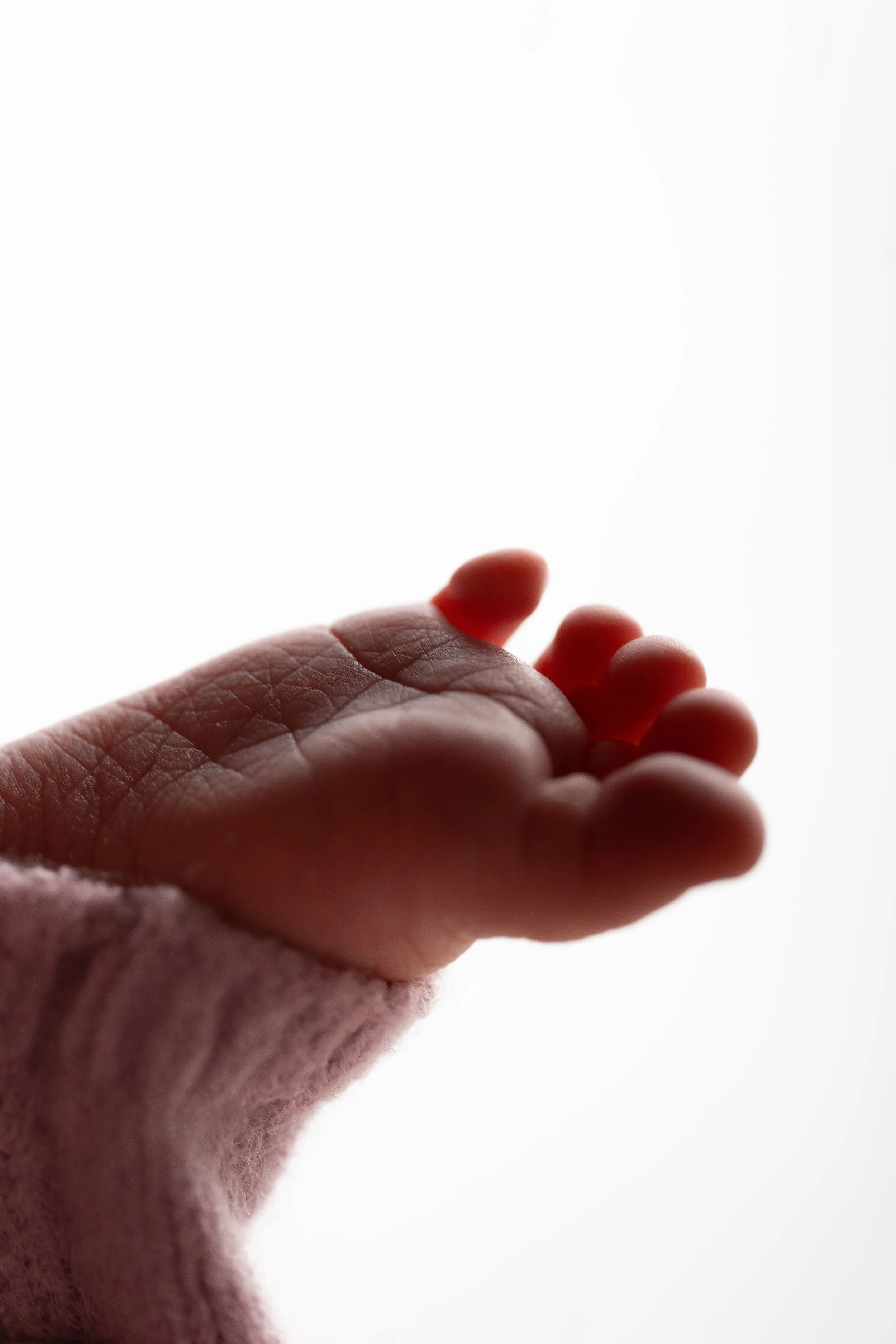 closeup image of newborn foot backlit by photography studio lighting in Canton, GA