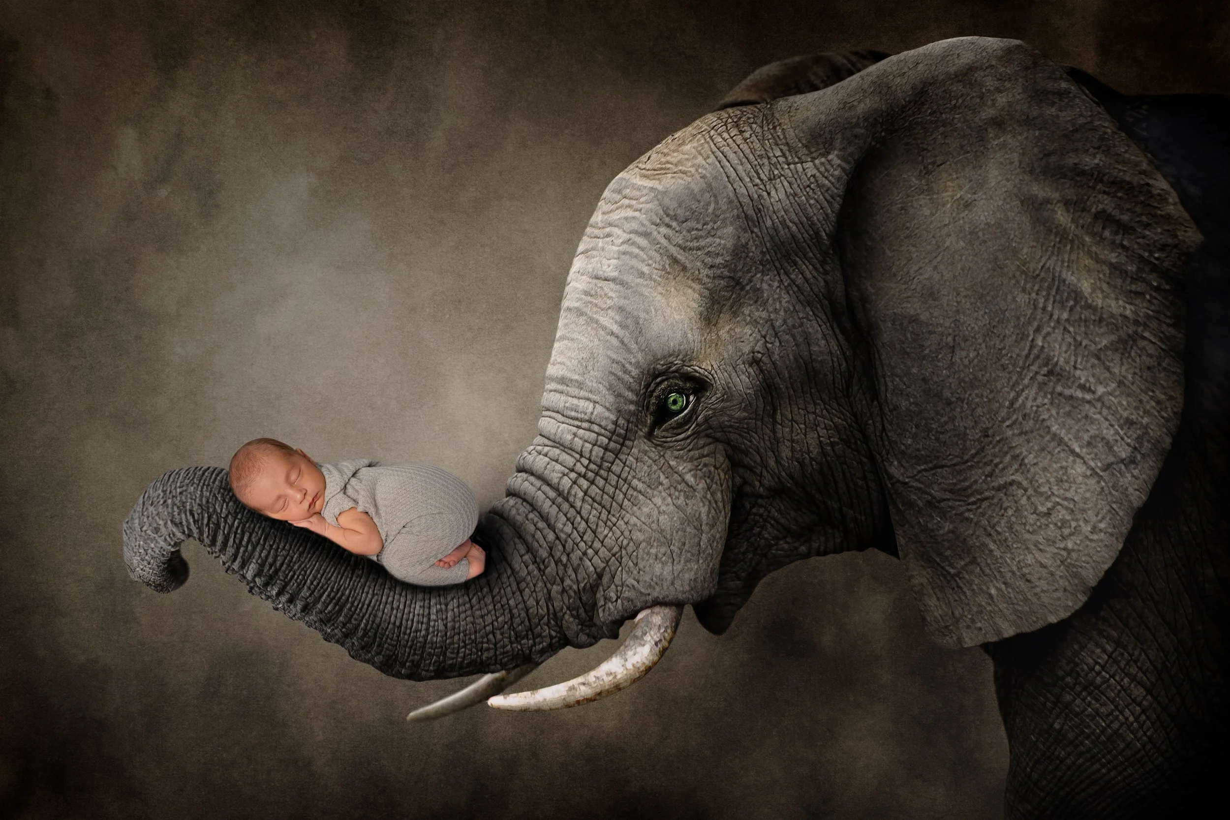 Newborn baby on elephant trunk