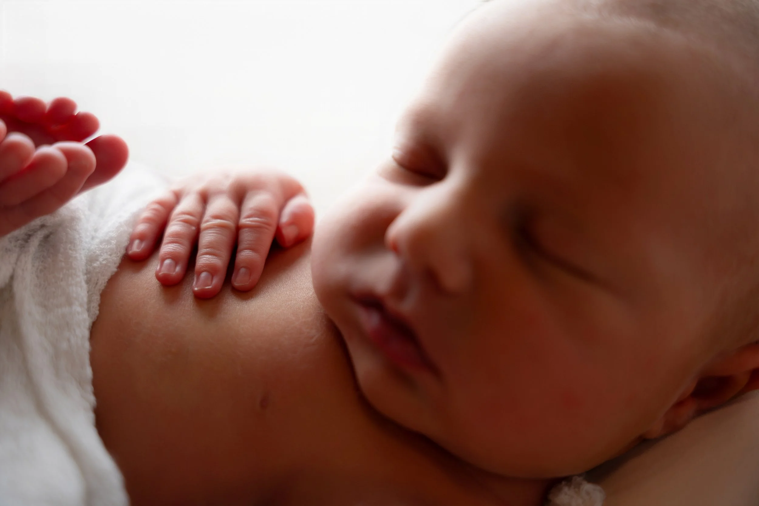 close up of baby's fingers in a photography studio in Canton GA for a newborn photoshoot